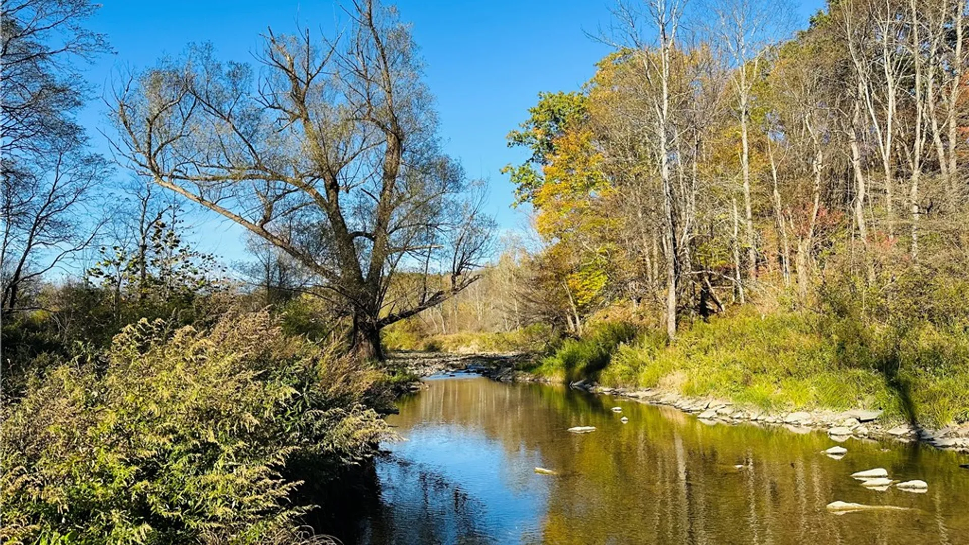 Property at 276 County Road 38, Bainbridge, NY 13733 3