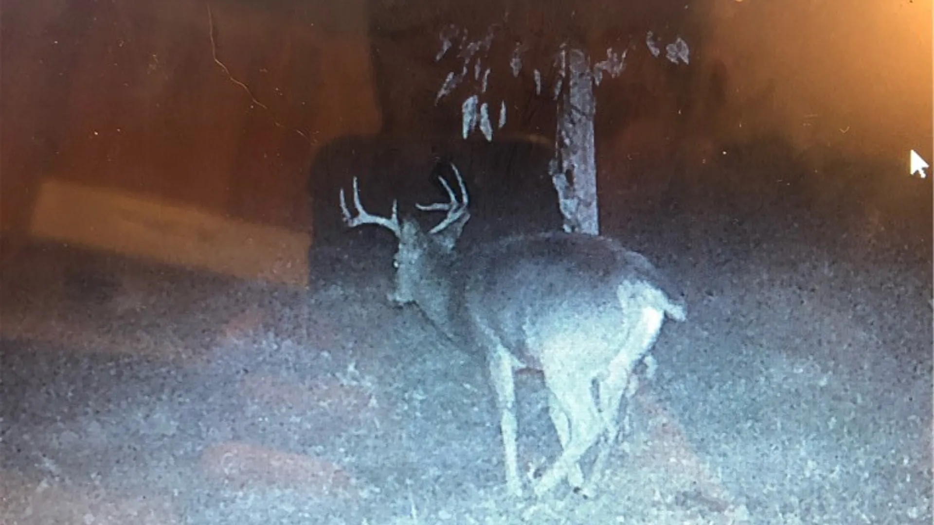 Property at 276 County Road 38, Bainbridge, NY 13733 30