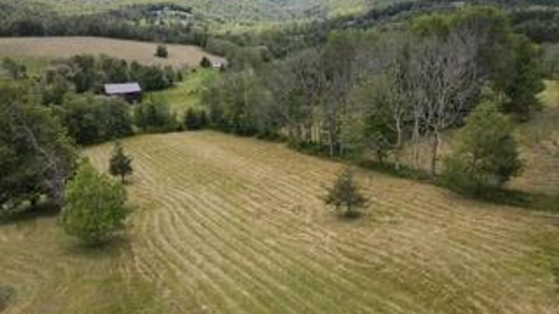 Property at 2A Overlook Dr., Lexington, NY 12452 4