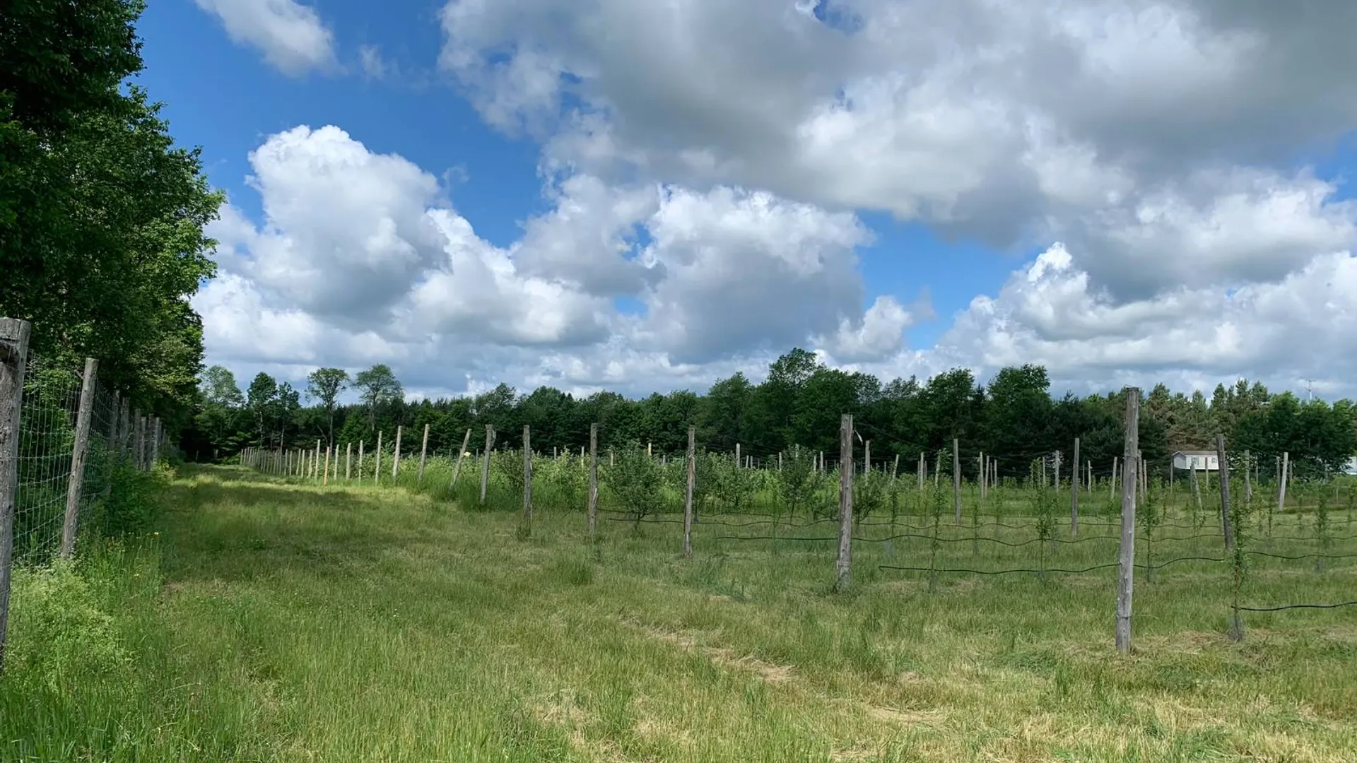 Property at 646 State Highway 3, Harrisville, NY 13648 27