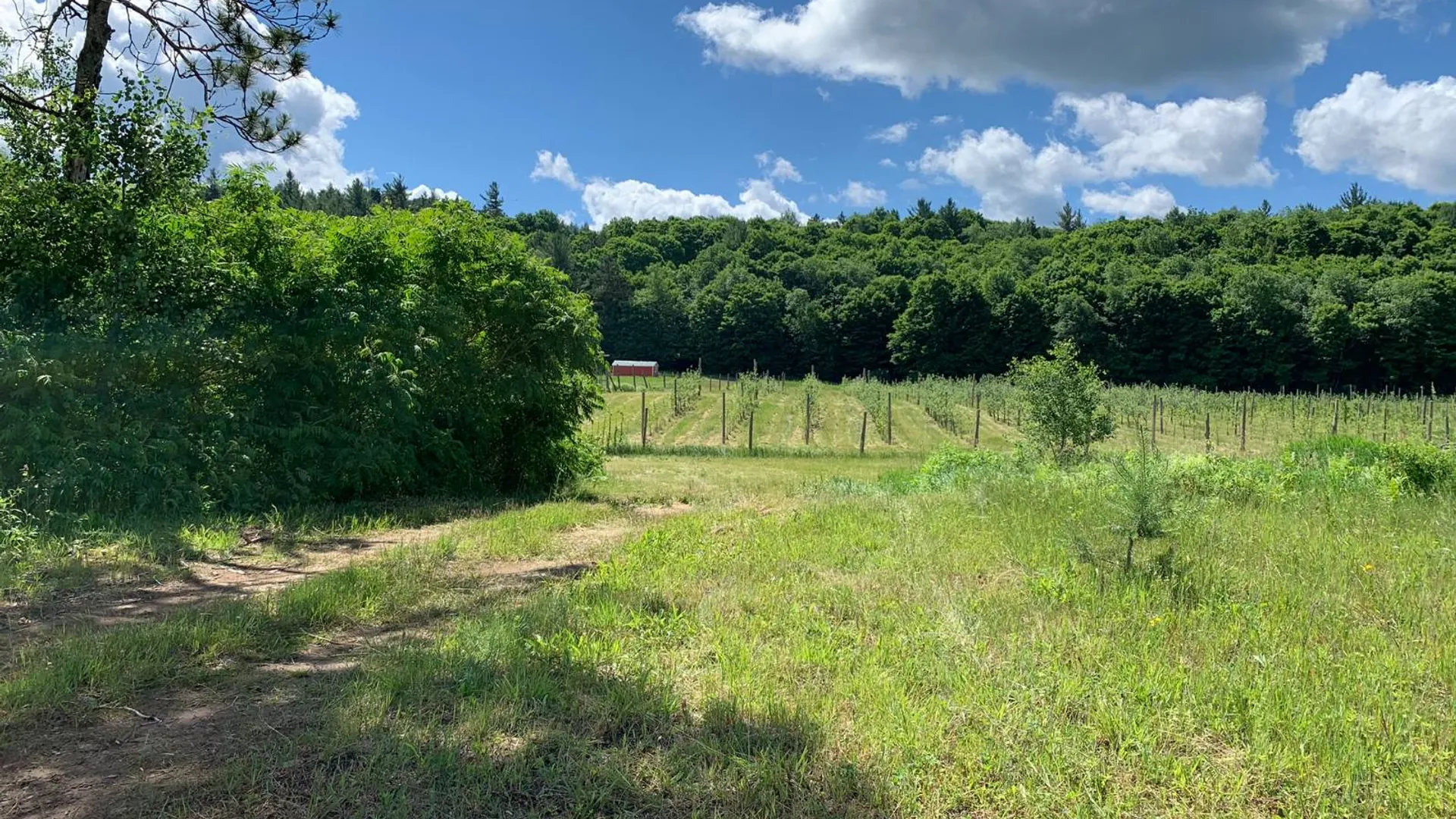 Property at 646 State Highway 3, Harrisville, NY 13648 53