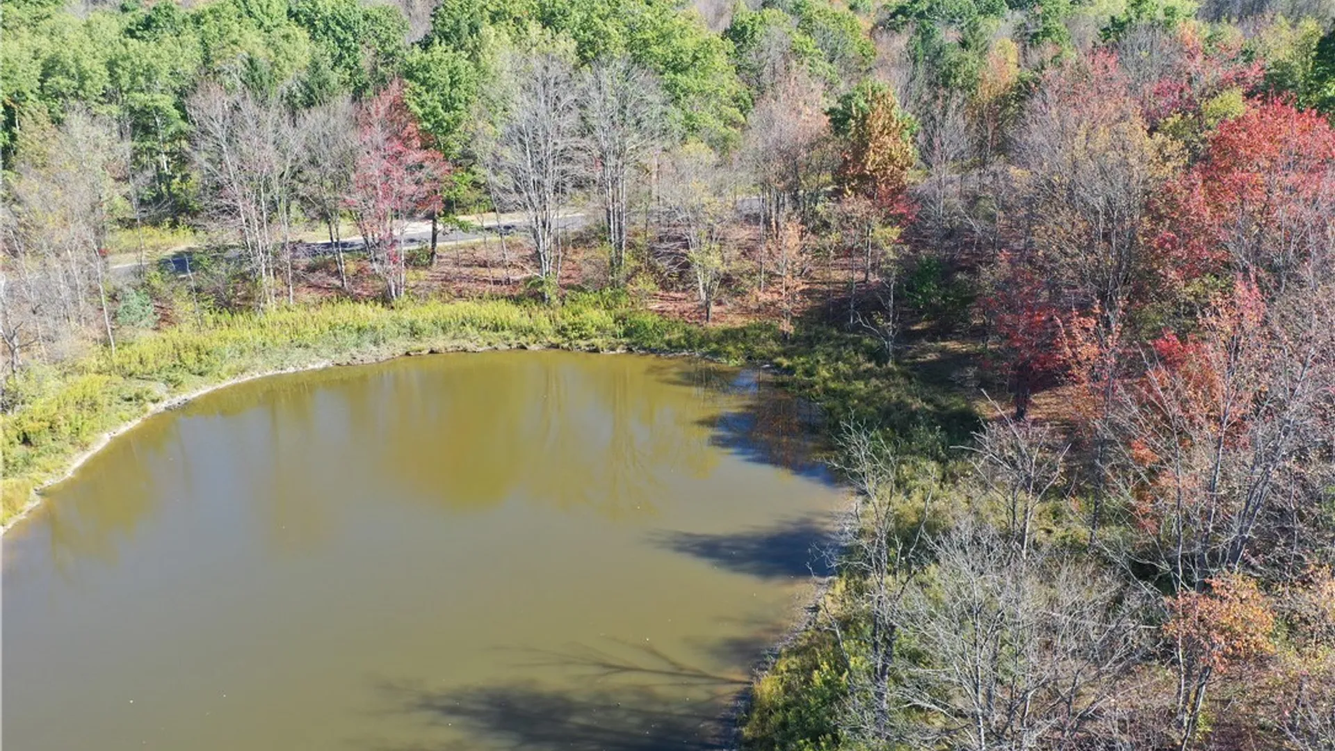 Property at 7475 Dublin Road, Mansfield, NY 14779 5