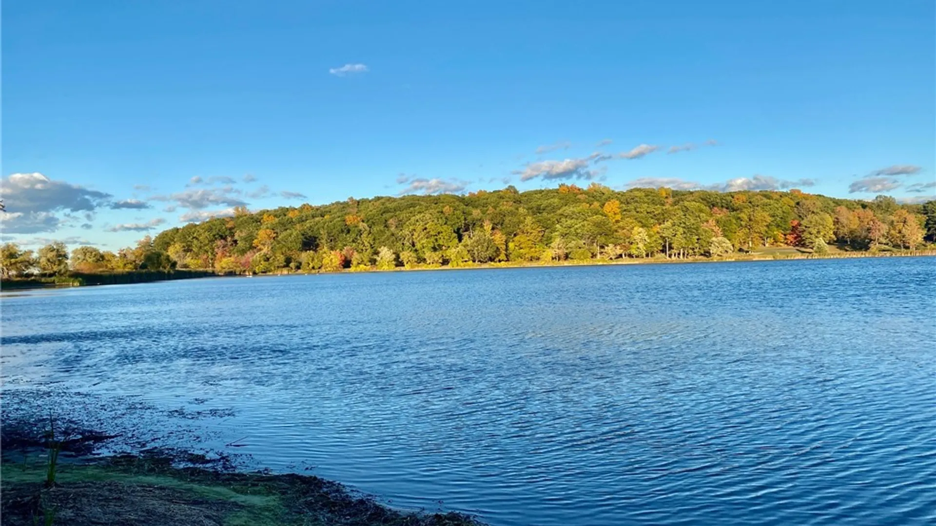 Property at 14710 Lake Street, Sterling, NY 13156 17