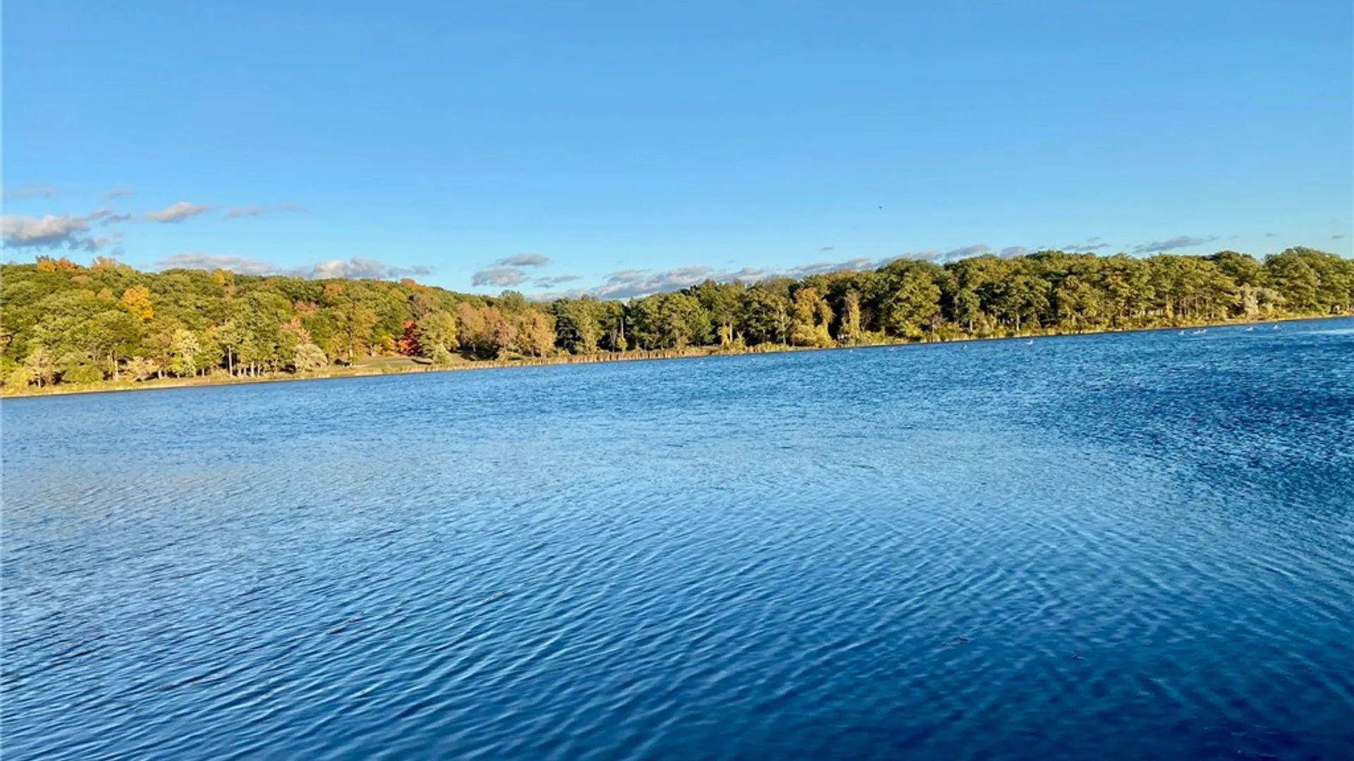 Property at 14710 Lake Street, Sterling, NY 13156 18