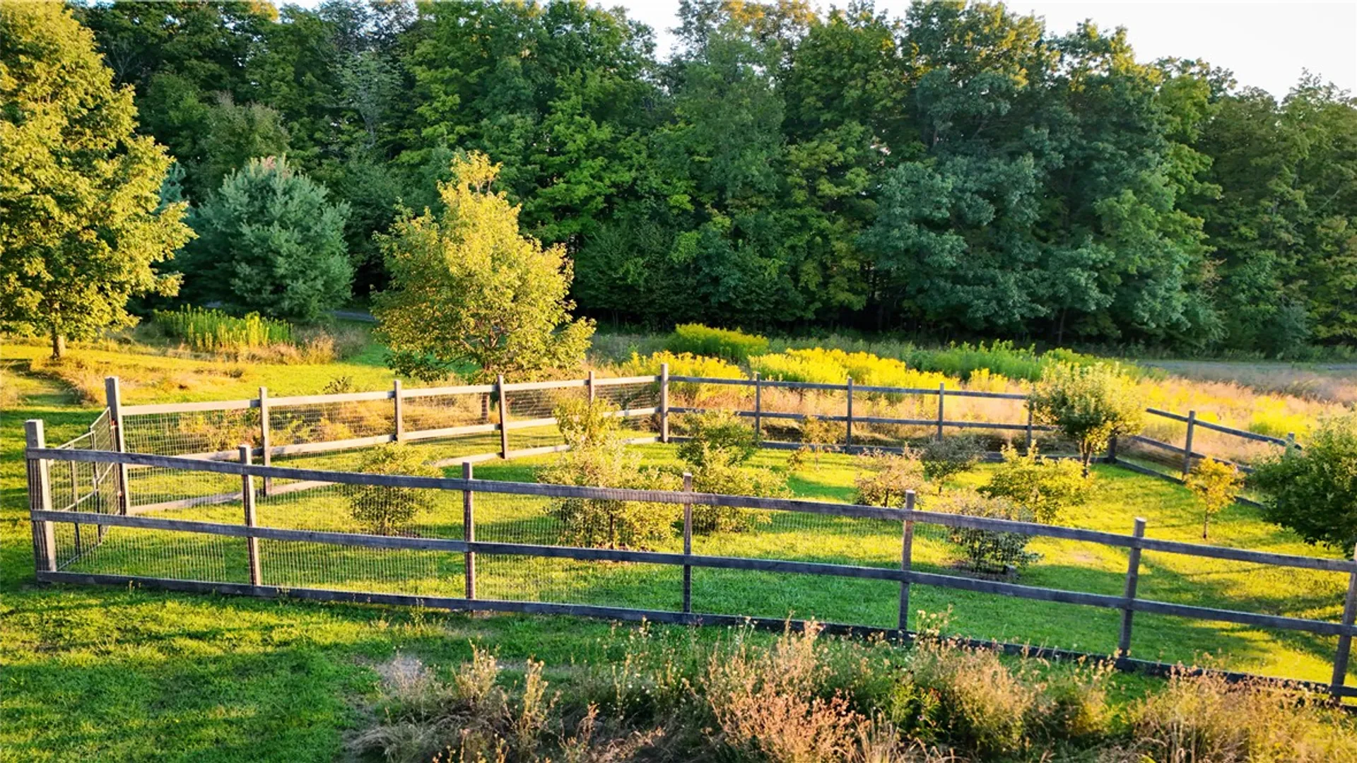 Property at 4040 County Road 141, Covert, NY 14847 38