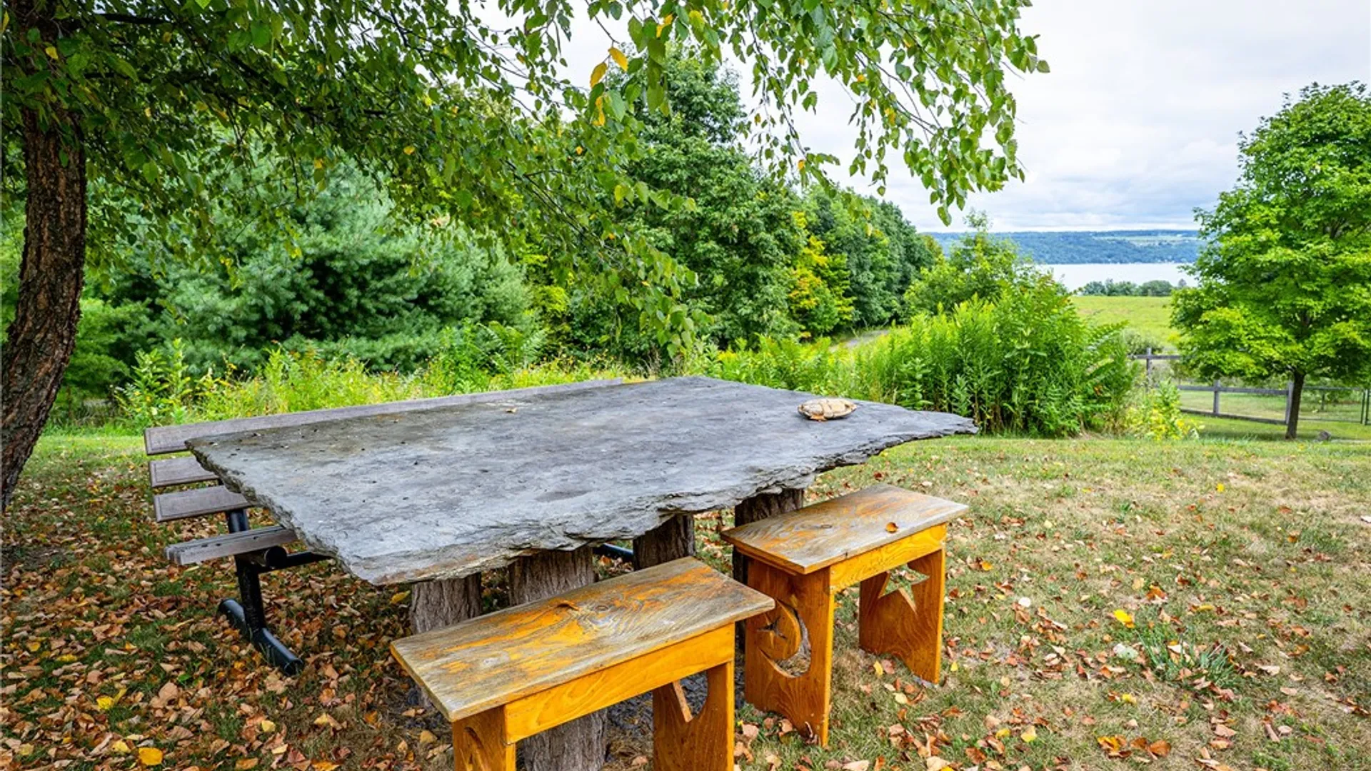 Property at 4040 County Road 141, Covert, NY 14847 42