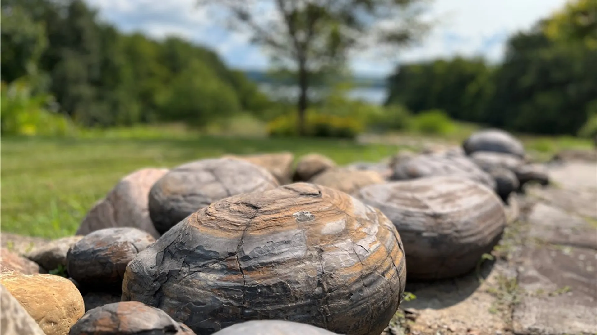 Property at 4040 County Road 141, Covert, NY 14847 43