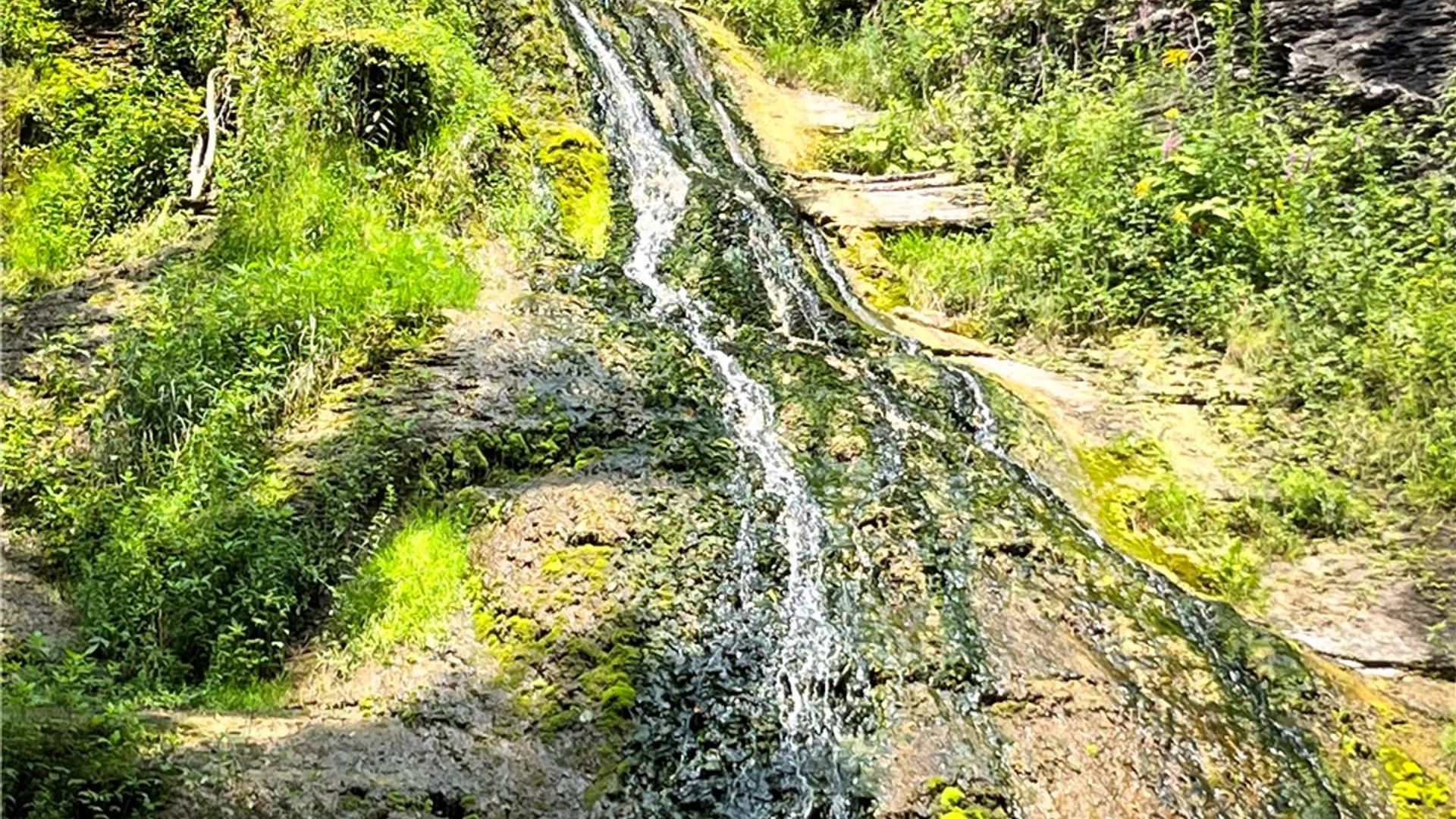 Property at 4040 County Road 141, Covert, NY 14847 46