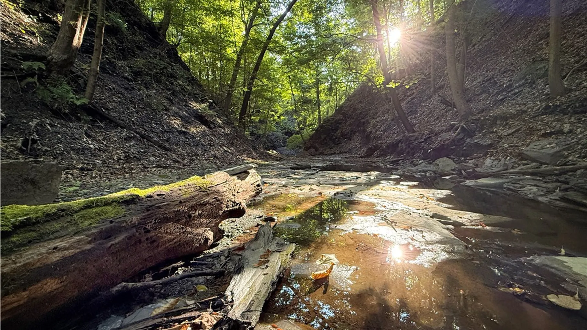 Property at 4040 County Road 141, Covert, NY 14847 48