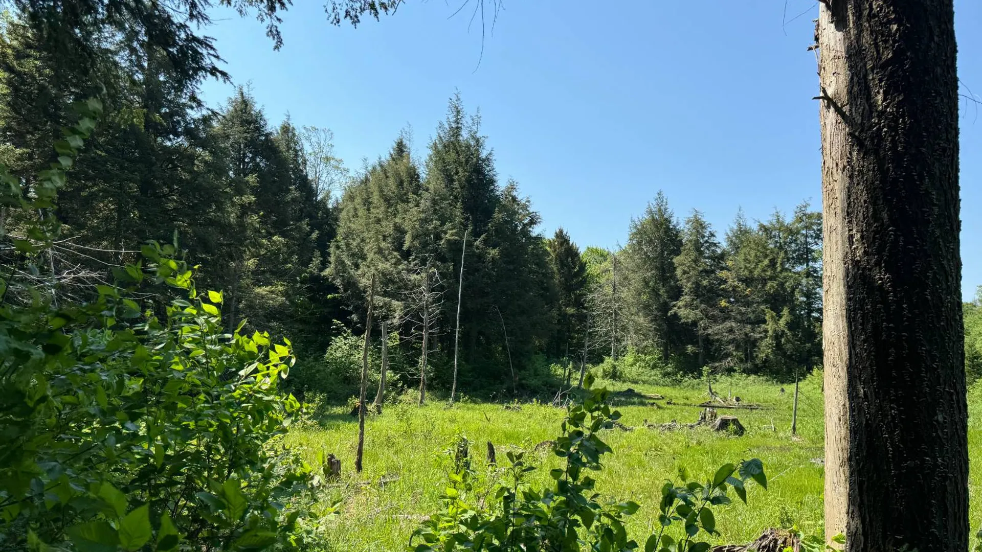 Property at 1.17 Mud Brook Road, Lewis, NY 13325 4