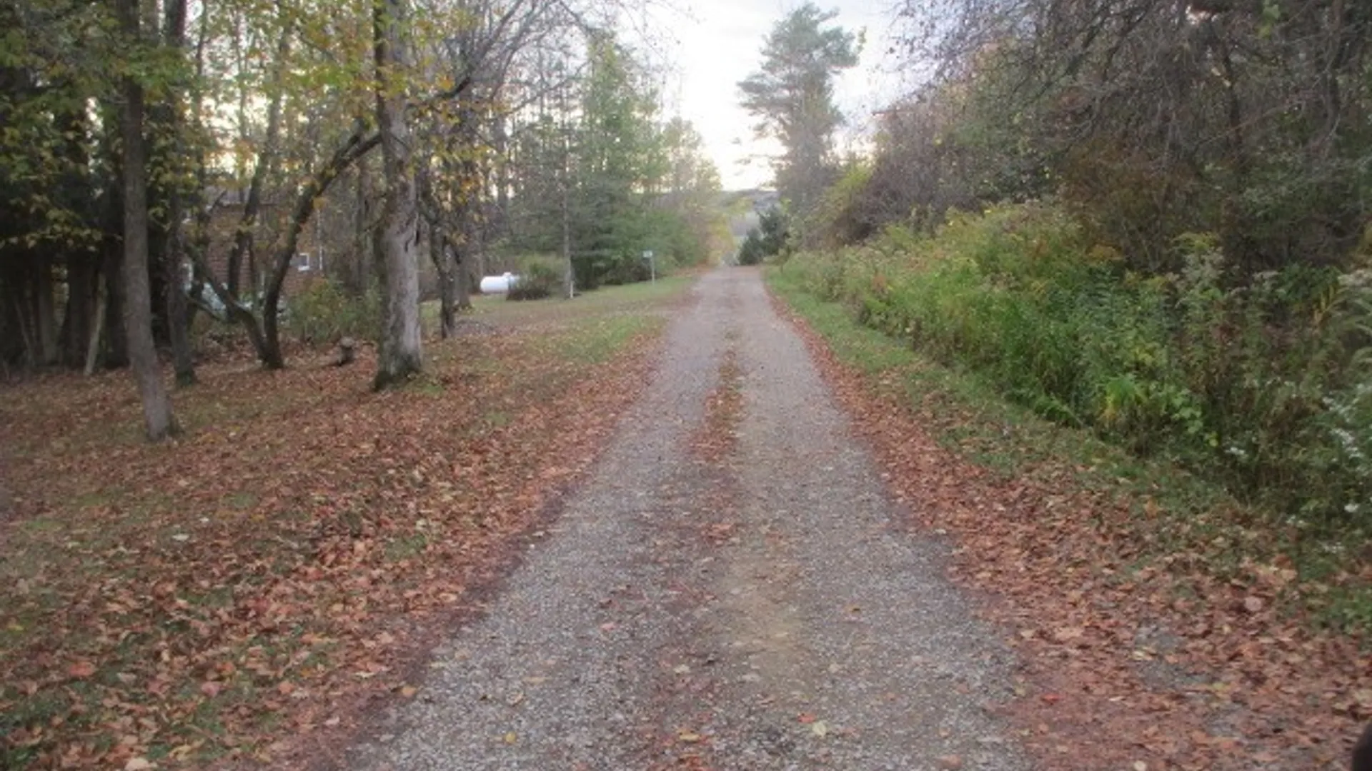 Property at 3042 Breeze Road, Machias, NY 14042 3