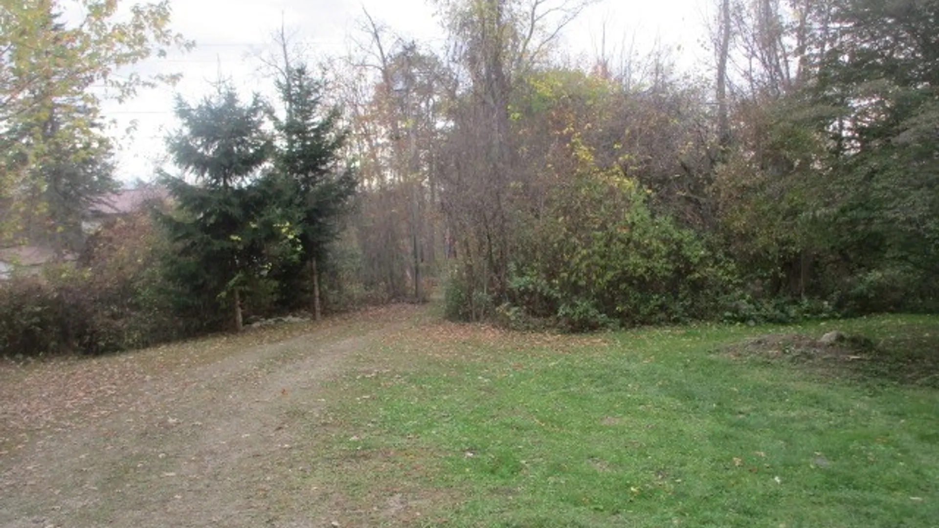 Property at 3042 Breeze Road, Machias, NY 14042 5