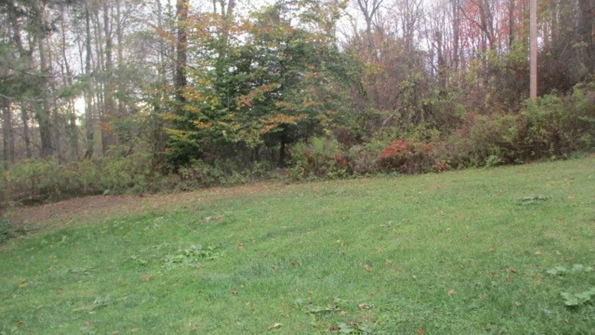Property at 3042 Breeze Road, Machias, NY 14042 6
