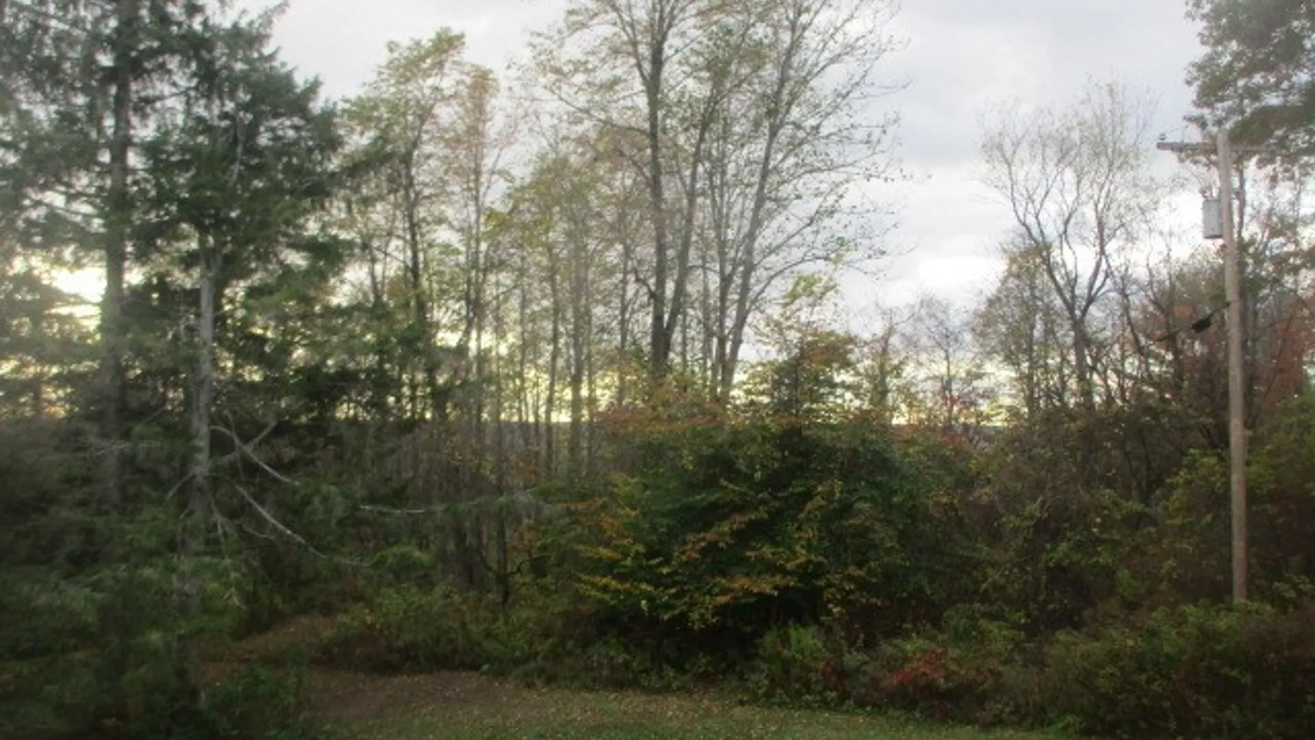 Property at 3042 Breeze Road, Machias, NY 14042 8