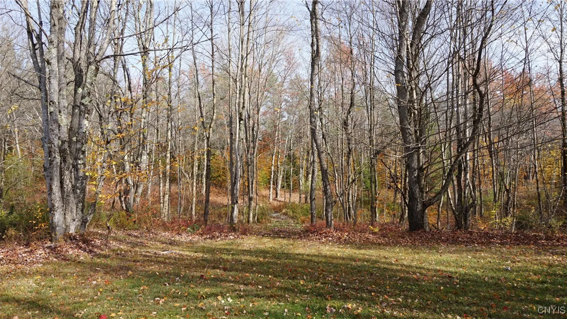 Property at 404 Old State Road, Redfield, NY 13437 42