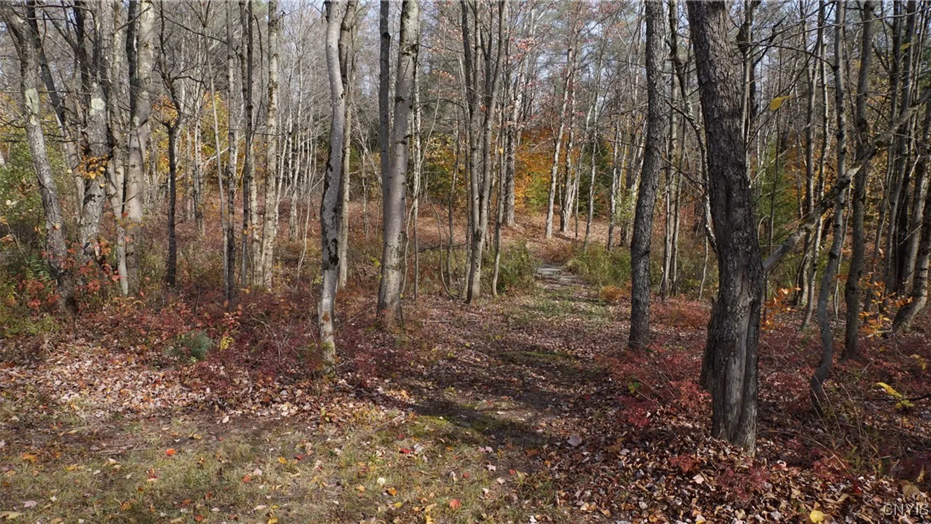 Property at 404 Old State Road, Redfield, NY 13437 44