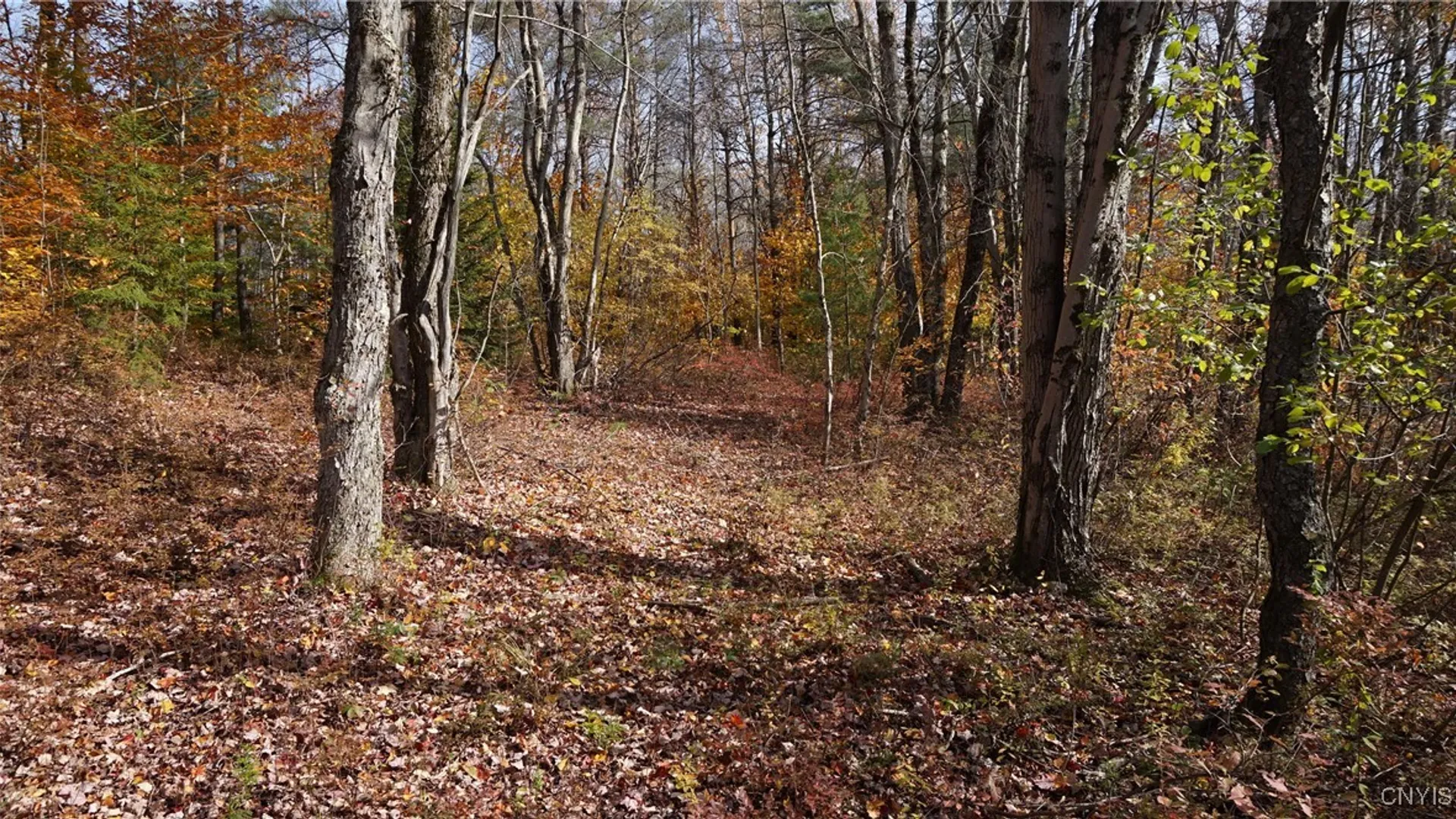 Property at 404 Old State Road, Redfield, NY 13437 46