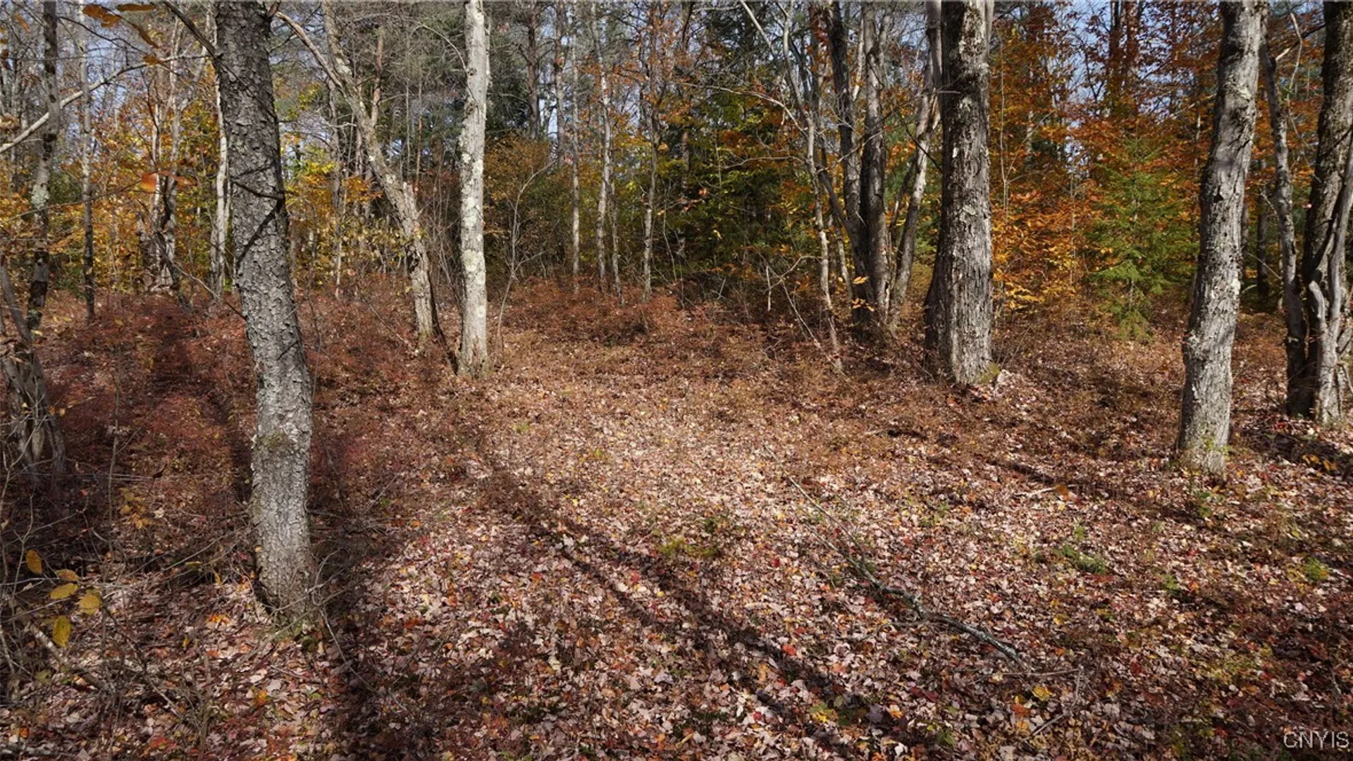 Property at 404 Old State Road, Redfield, NY 13437 47