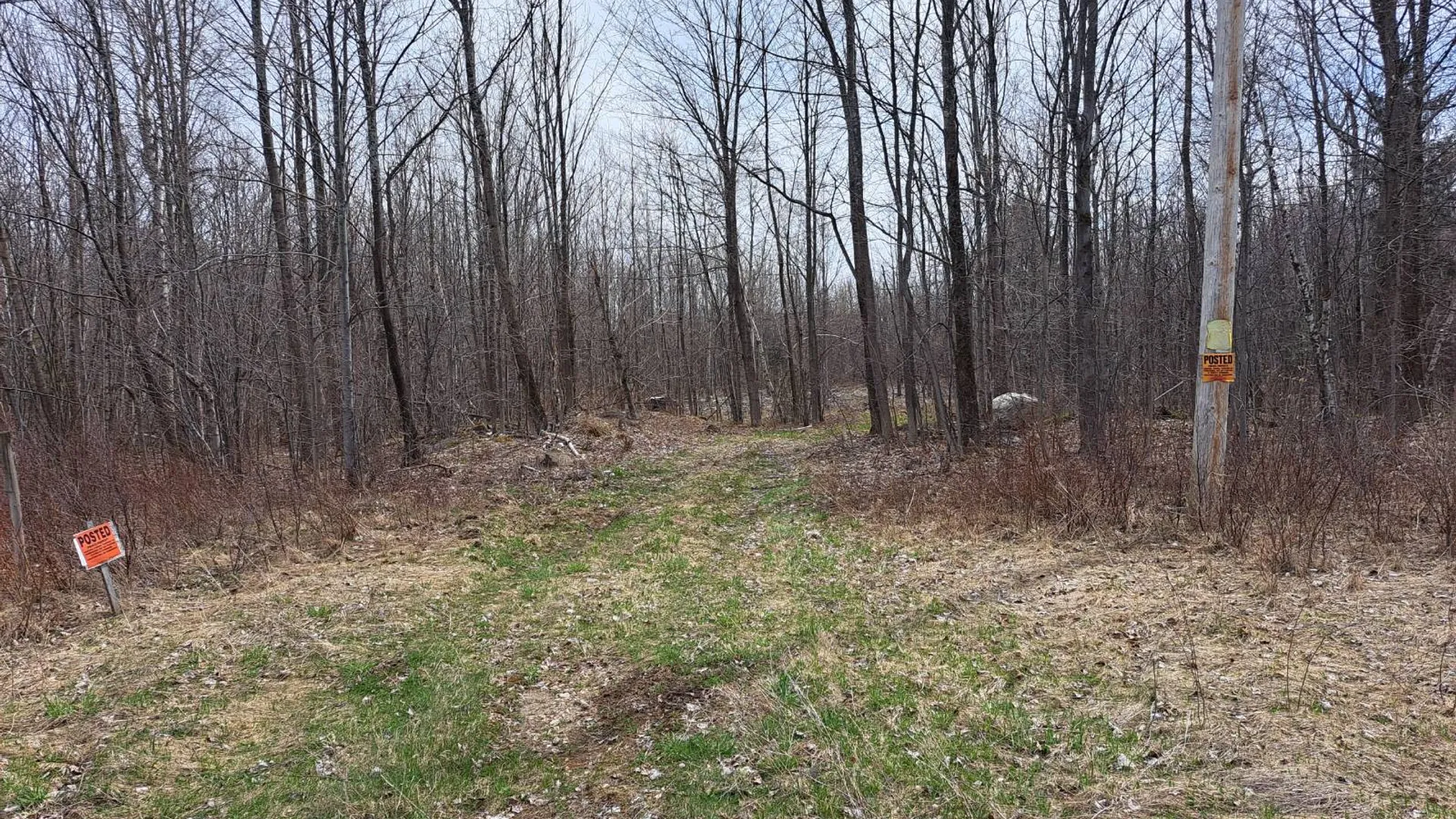 Property at L 11.5 Military Turnpike, Ellenburg Depot, NY 12935 12
