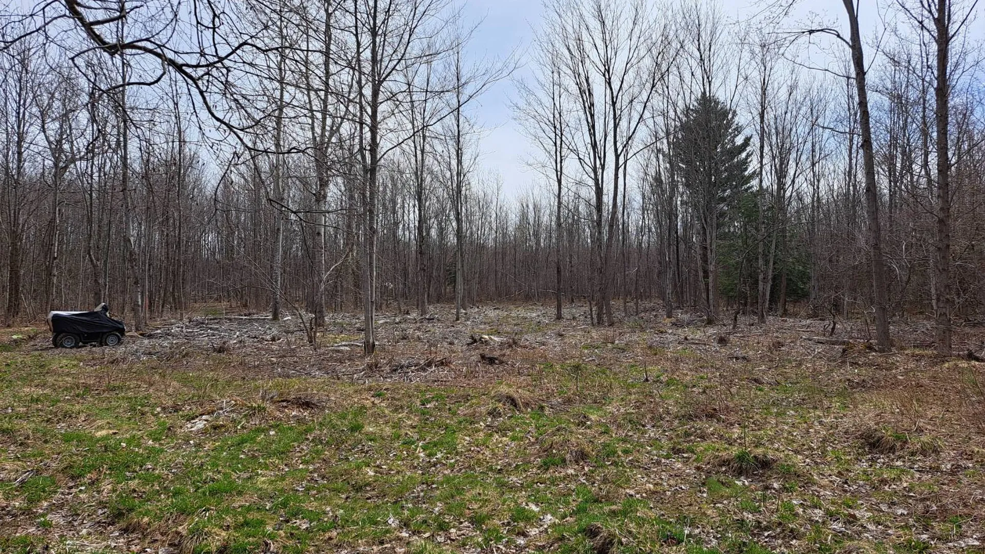 Property at L 11.5 Military Turnpike, Ellenburg Depot, NY 12935 13