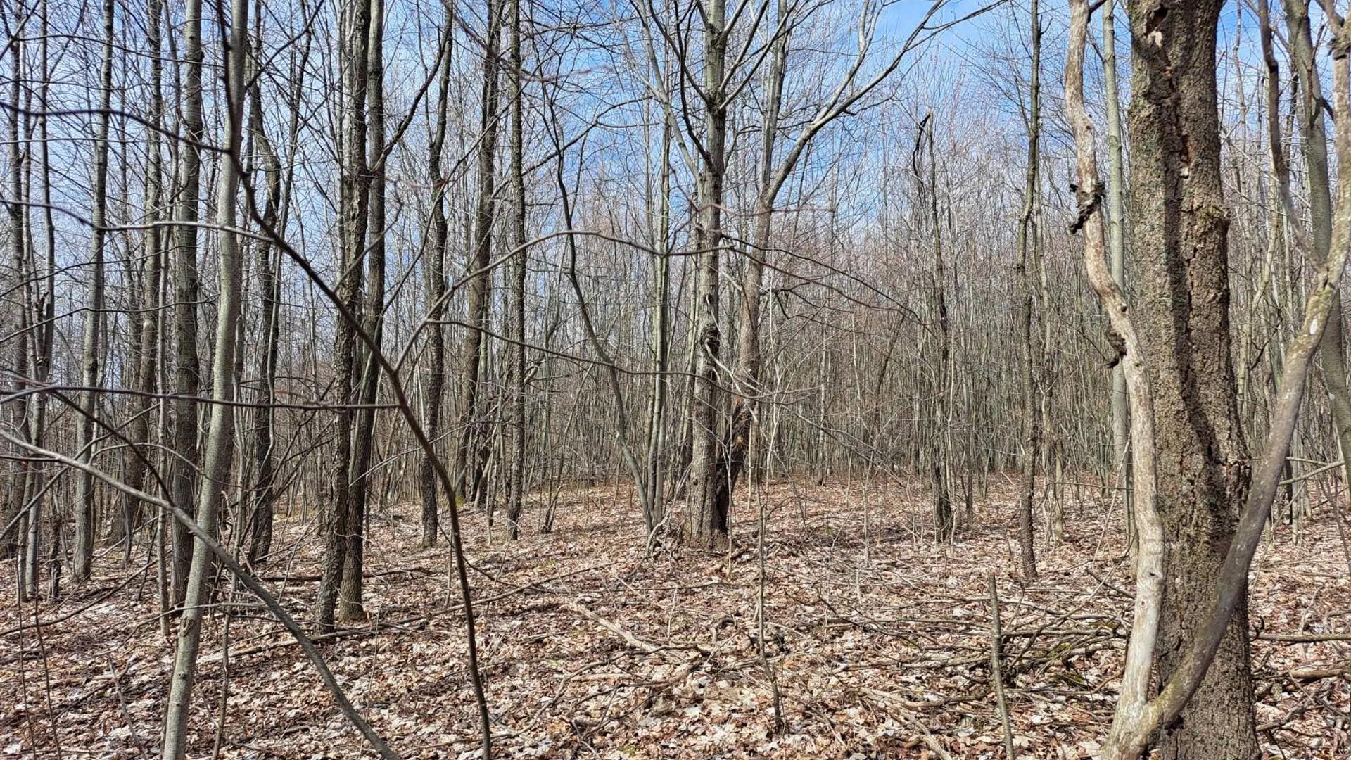 Property at L 11.5 Military Turnpike, Ellenburg Depot, NY 12935 25