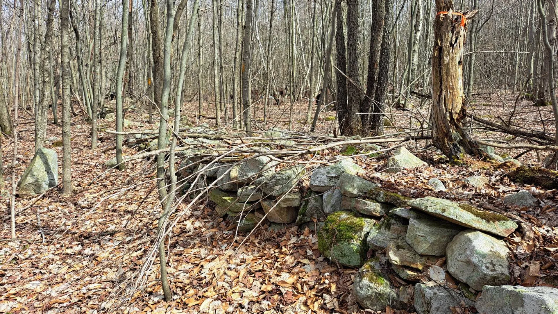 Property at L 11.5 Military Turnpike, Ellenburg Depot, NY 12935 26