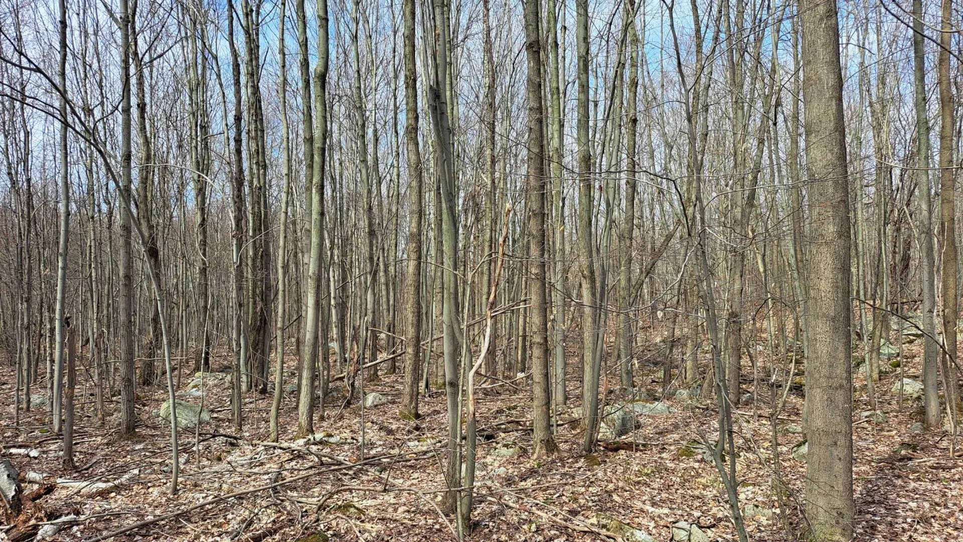 Property at L 11.5 Military Turnpike, Ellenburg Depot, NY 12935 27