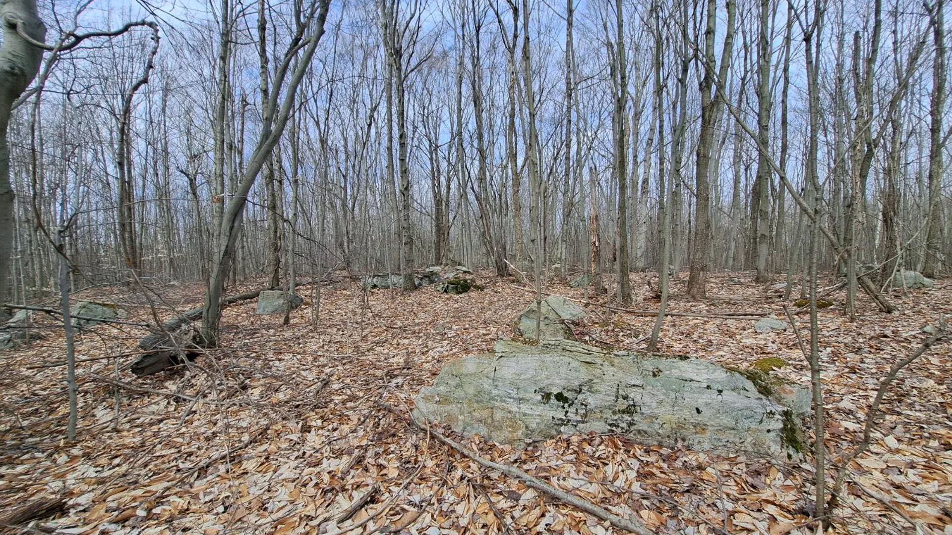 Property at L 11.5 Military Turnpike, Ellenburg Depot, NY 12935 31