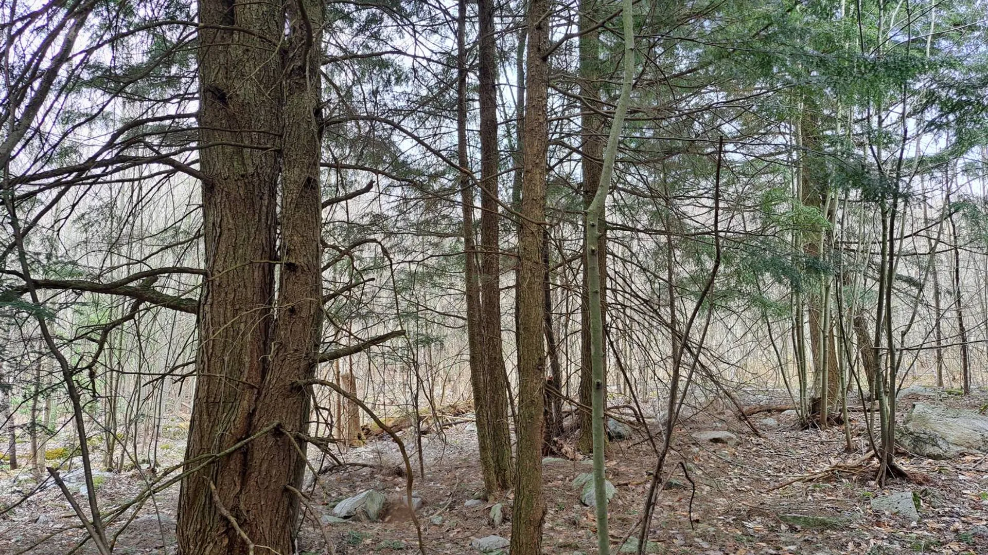 Property at L 11.5 Military Turnpike, Ellenburg Depot, NY 12935 39