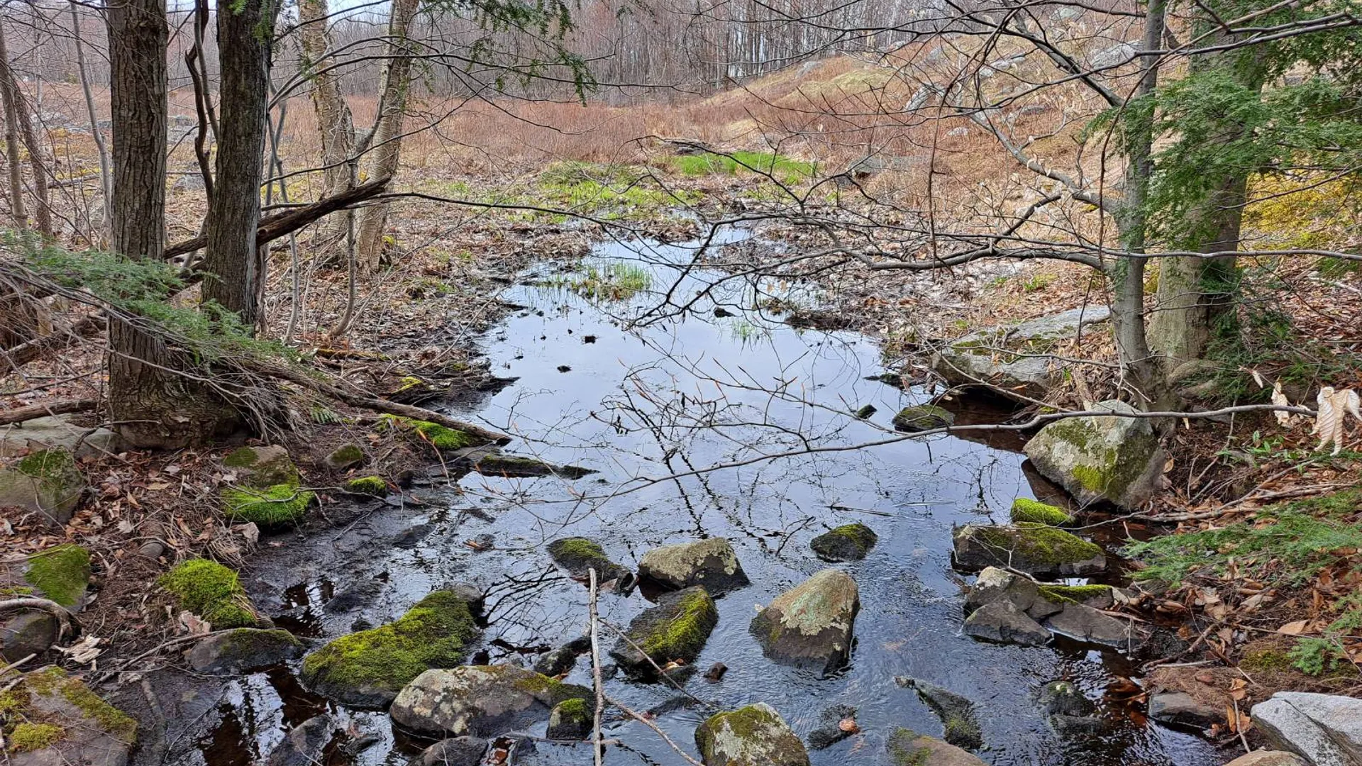 Property at L 11.5 Military Turnpike, Ellenburg Depot, NY 12935 44