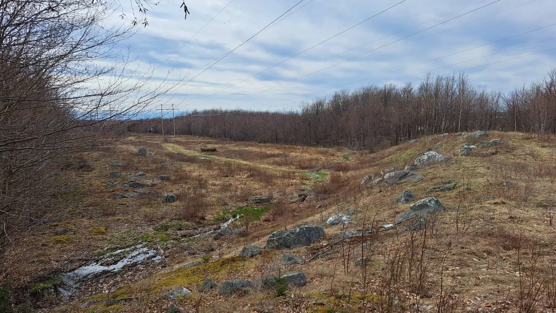Property at L 11.5 Military Turnpike, Ellenburg Depot, NY 12935 45