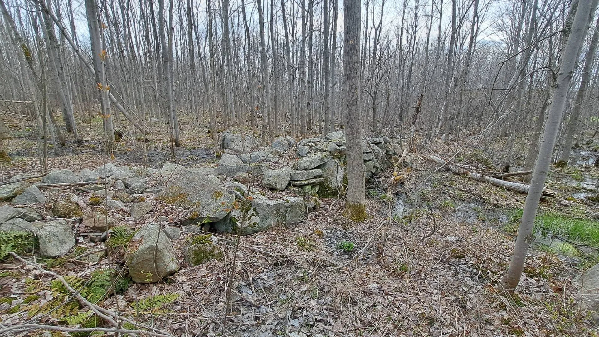 Property at L 11.5 Military Turnpike, Ellenburg Depot, NY 12935 53