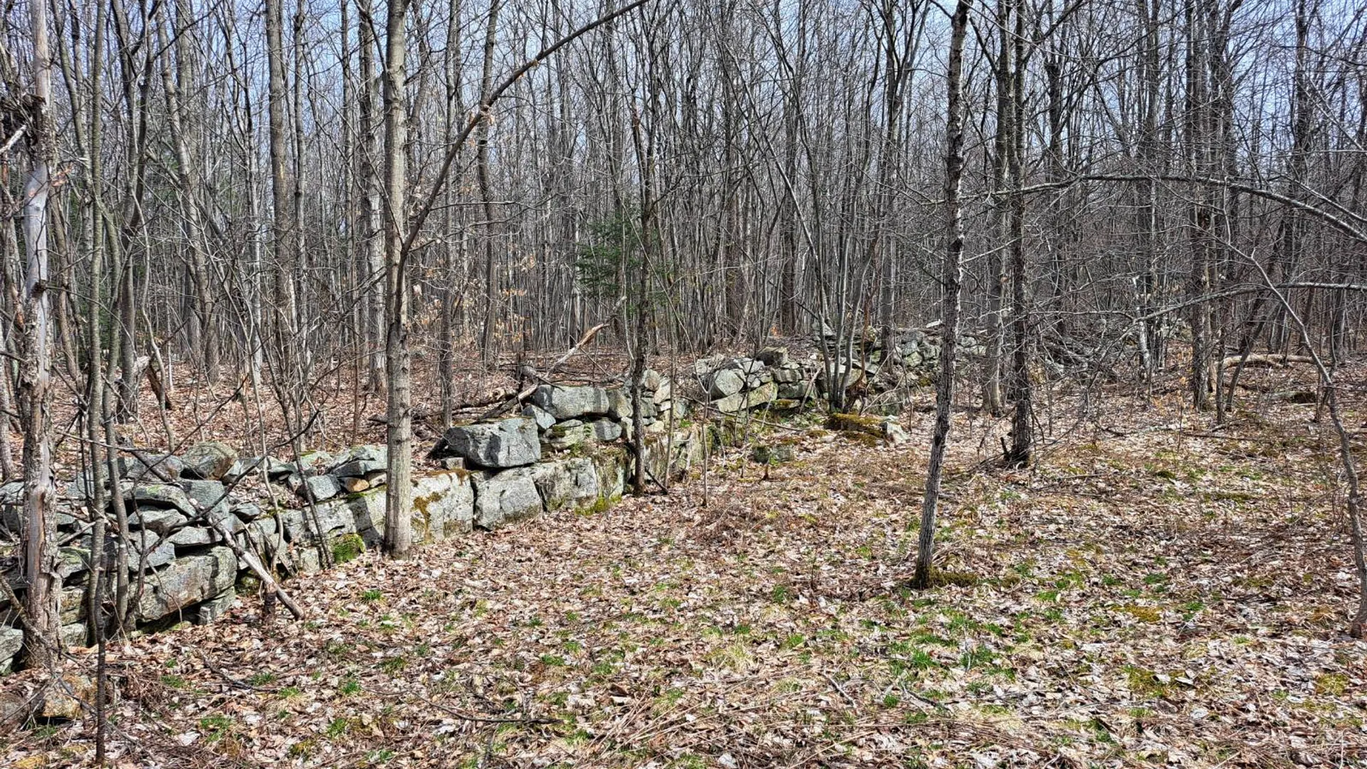 Property at L 11.5 Military Turnpike, Ellenburg Depot, NY 12935 8