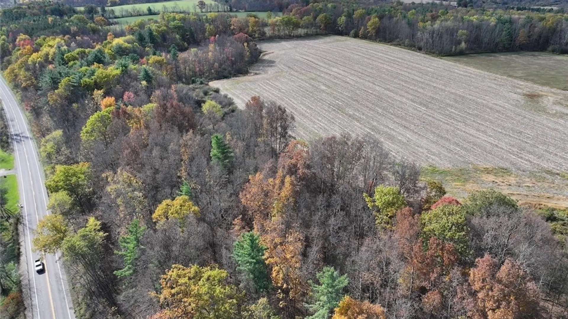 Property at White Creek Road, Belfast, NY 14813 11