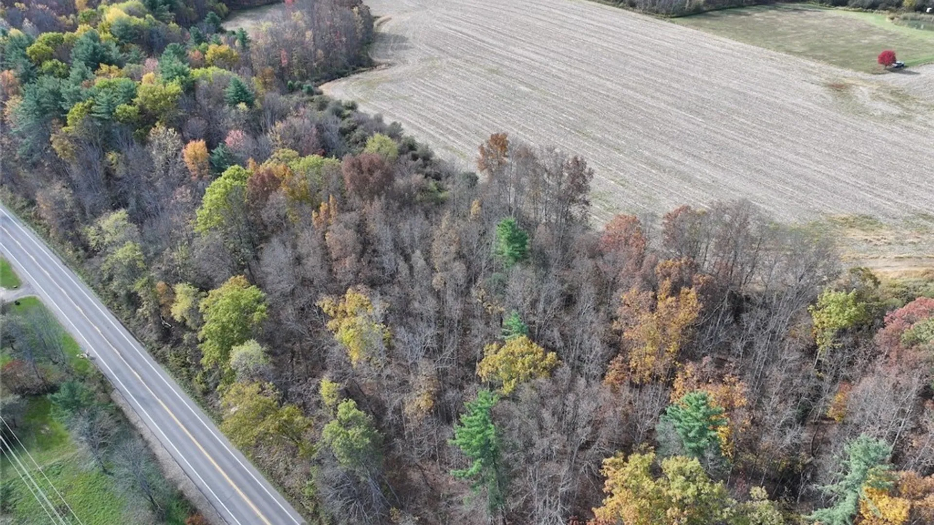 Property at White Creek Road, Belfast, NY 14813 12