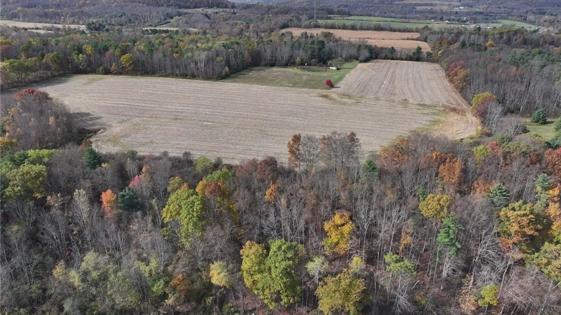 Property at White Creek Road, Belfast, NY 14813 13