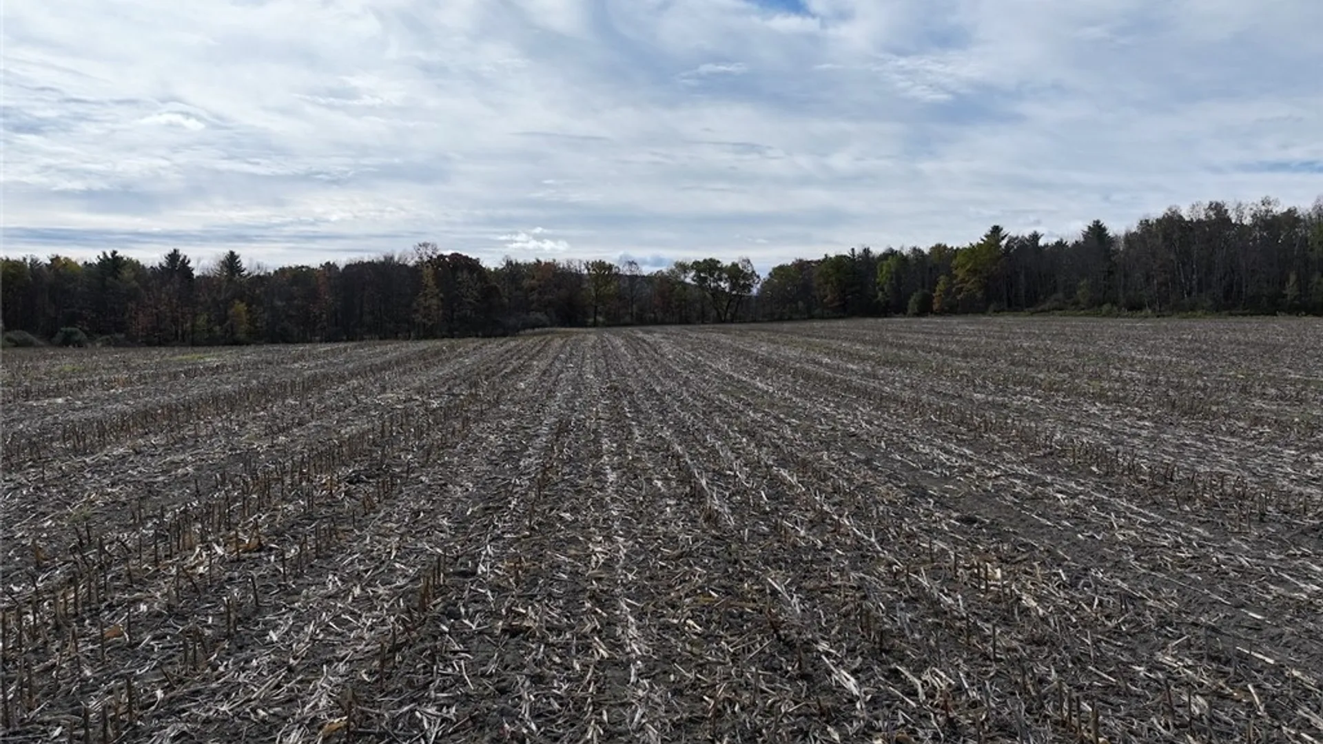 Property at White Creek Road, Belfast, NY 14813 15