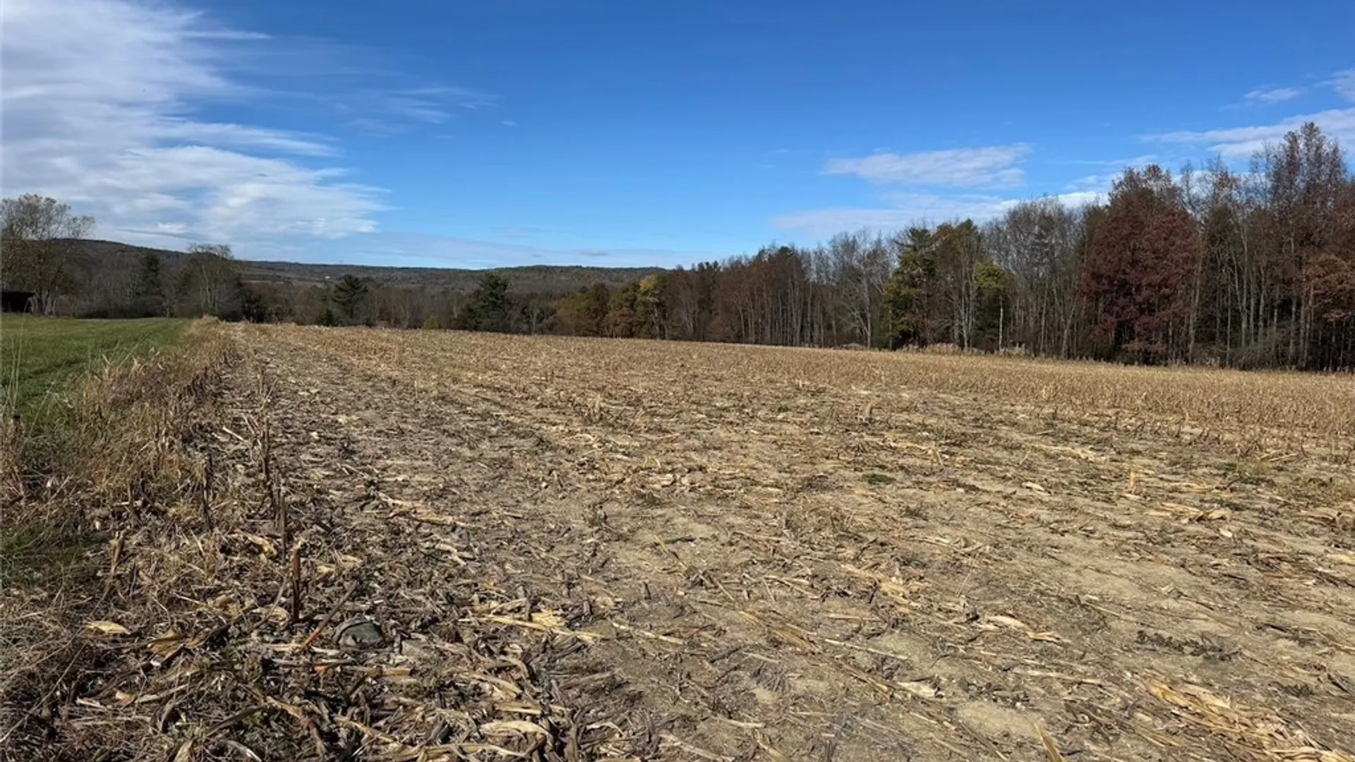 Property at White Creek Road, Belfast, NY 14813 17