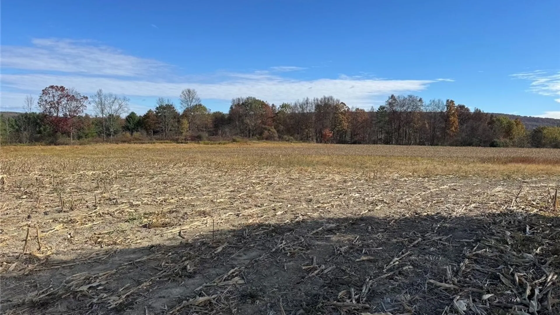 Property at White Creek Road, Belfast, NY 14813 18