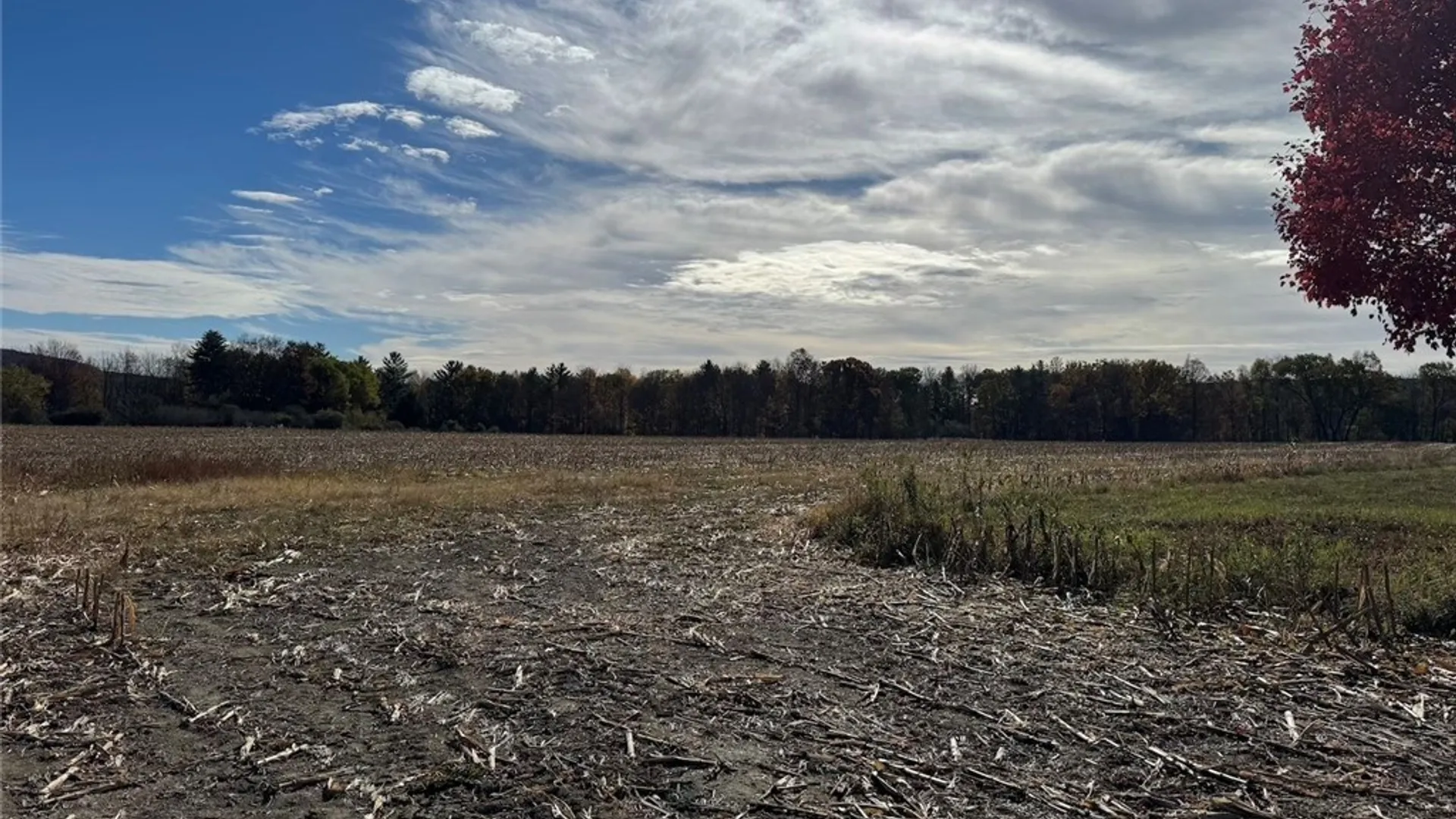 Property at White Creek Road, Belfast, NY 14813 19