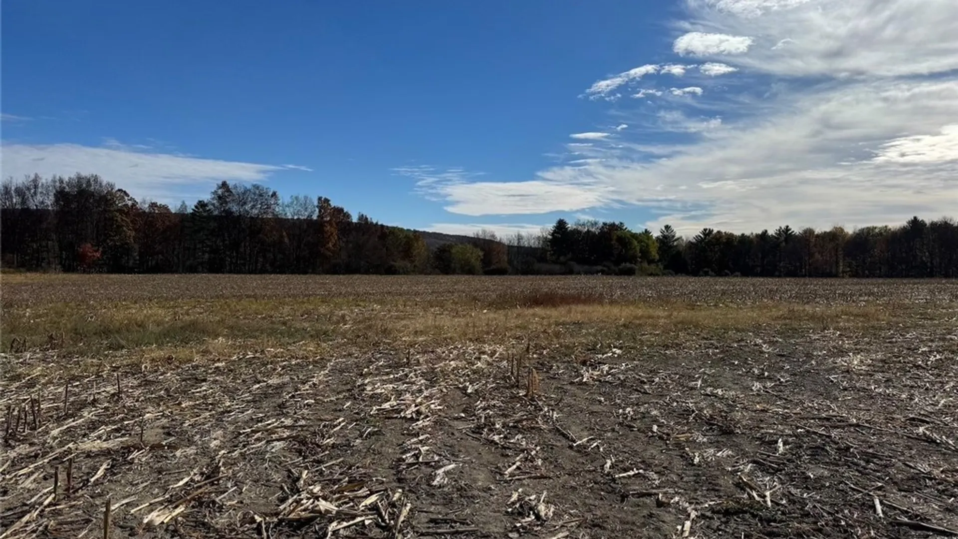 Property at White Creek Road, Belfast, NY 14813 20