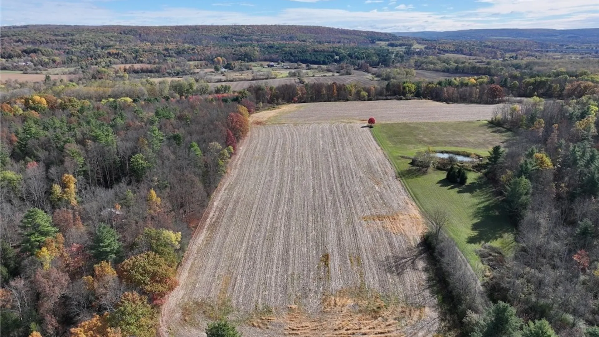 Property at White Creek Road, Belfast, NY 14813 6