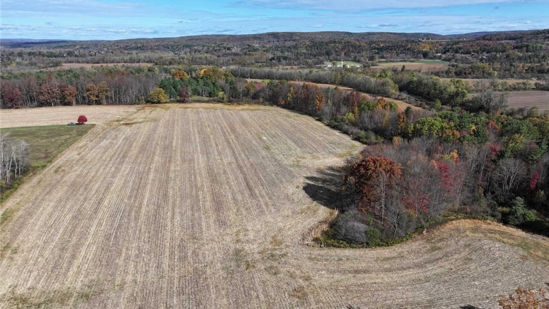 Property at White Creek Road, Belfast, NY 14813 7