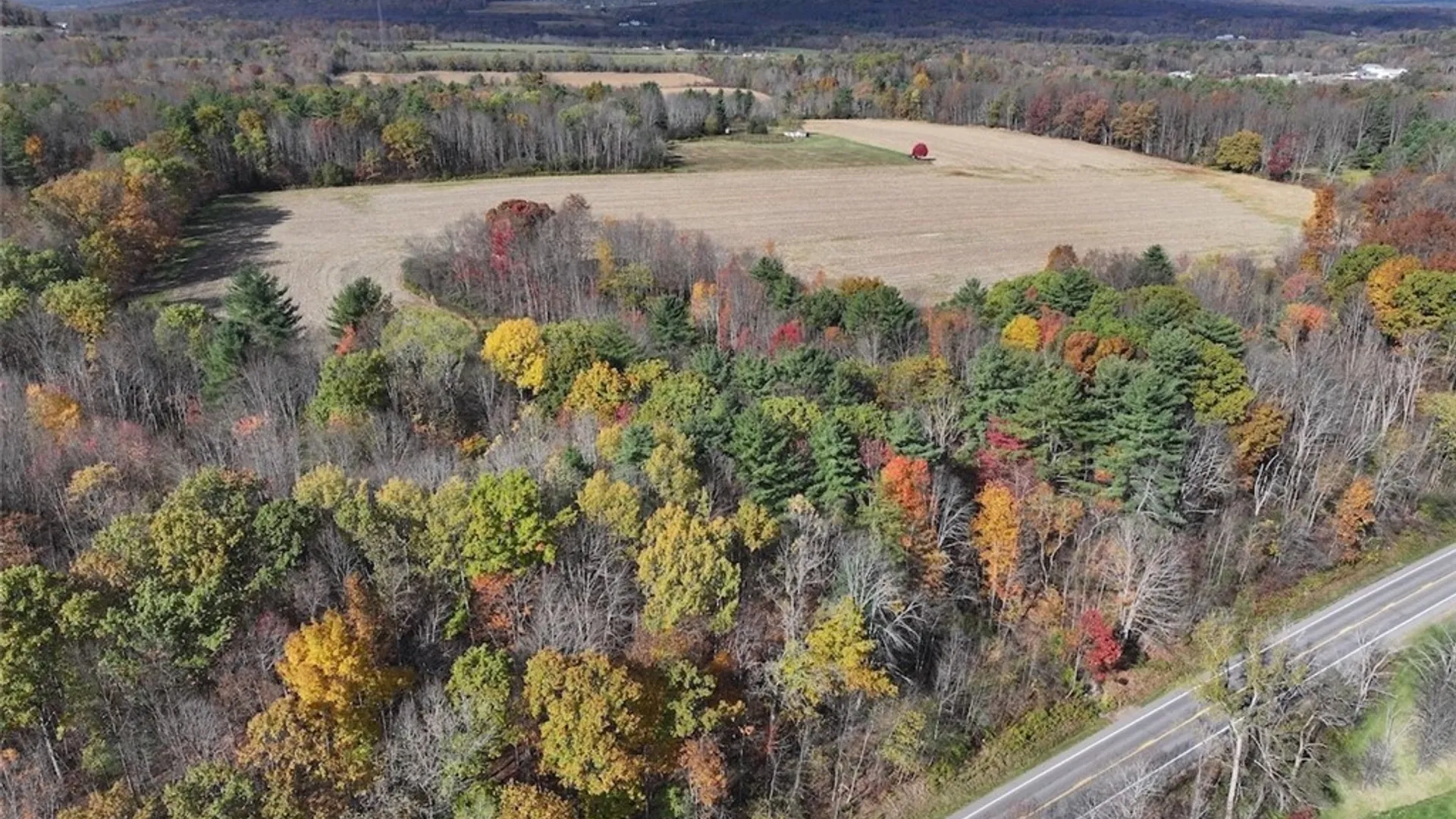 Property at White Creek Road, Belfast, NY 14813 9