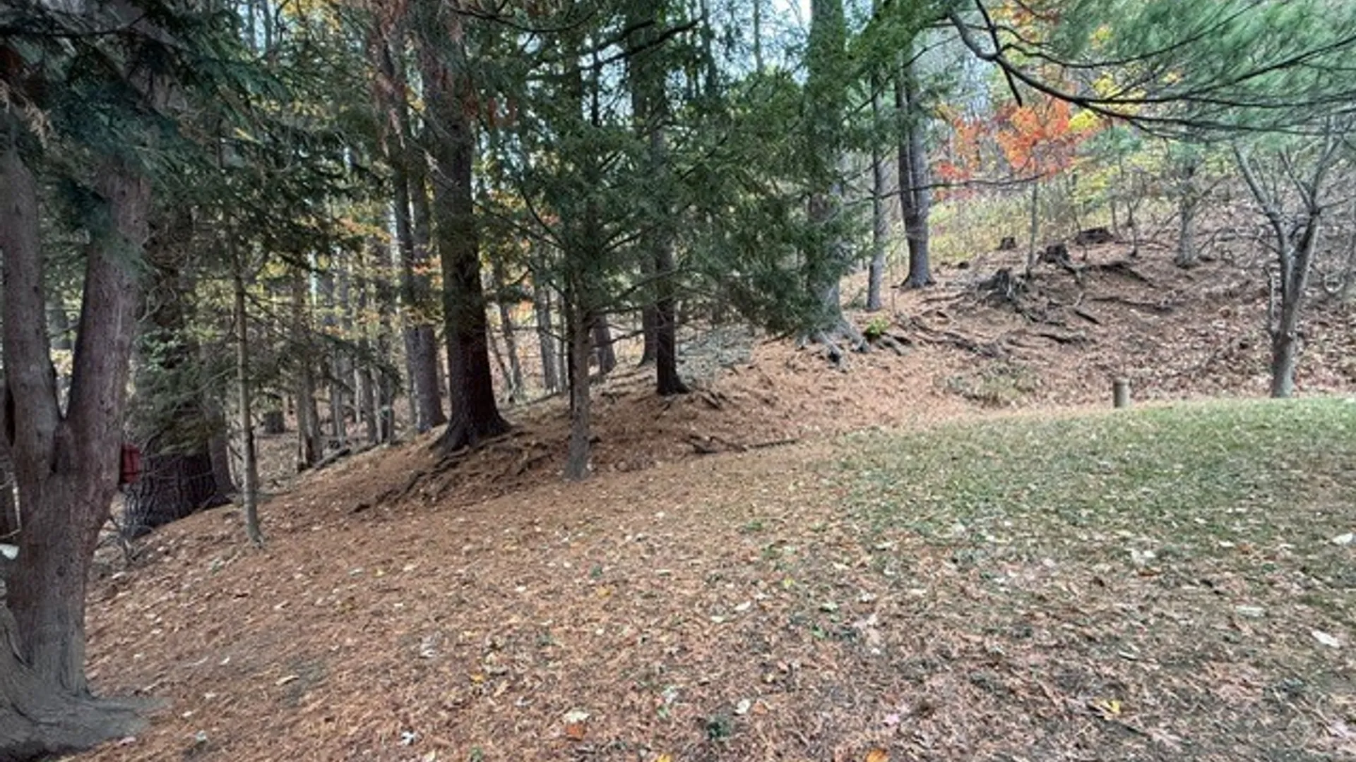 Property at 8197 Boston State Road, Boston, NY 14075 21