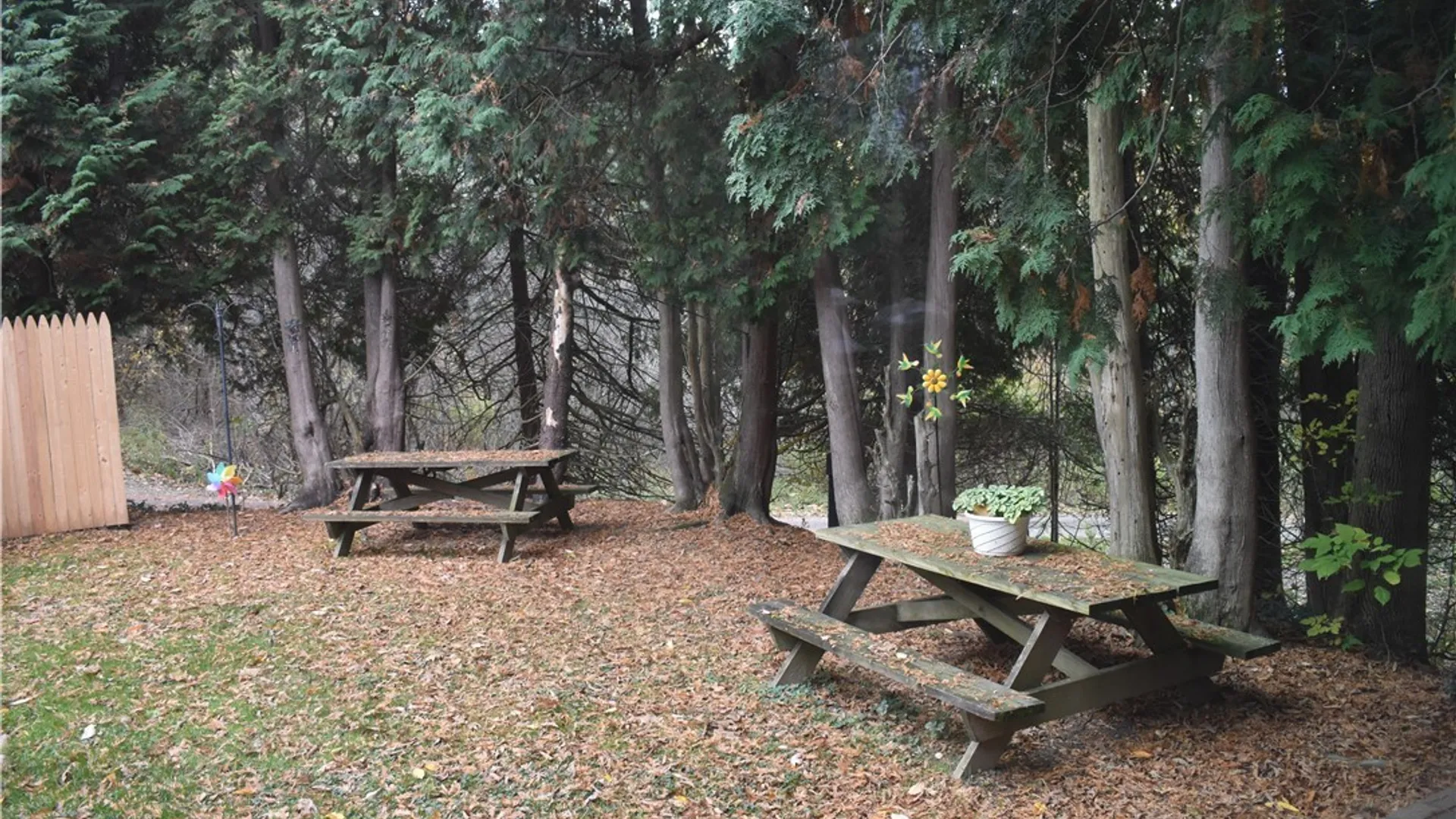 Property at 8197 Boston State Road, Boston, NY 14075 25