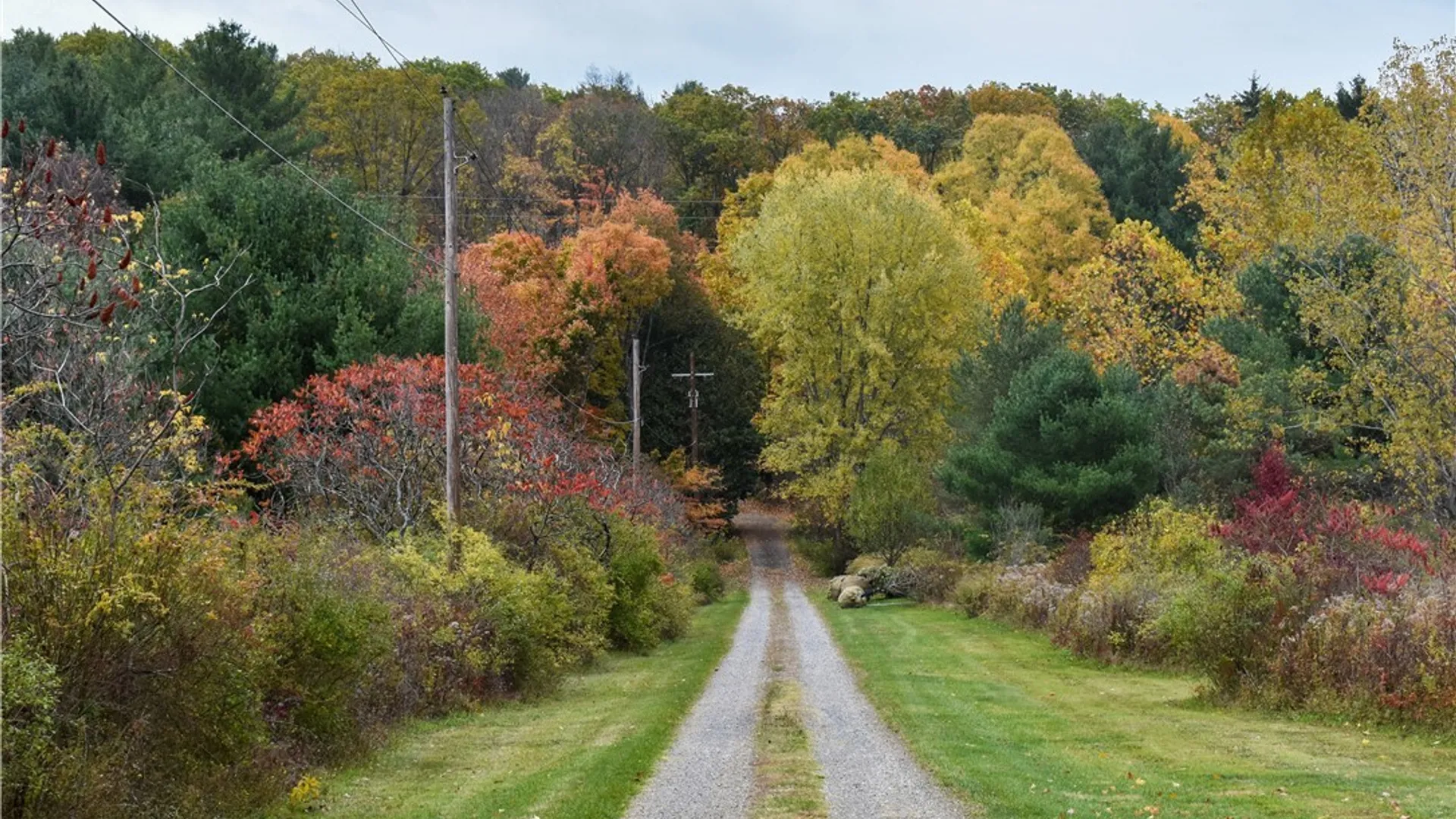 Property at 8197 Boston State Road, Boston, NY 14075 3