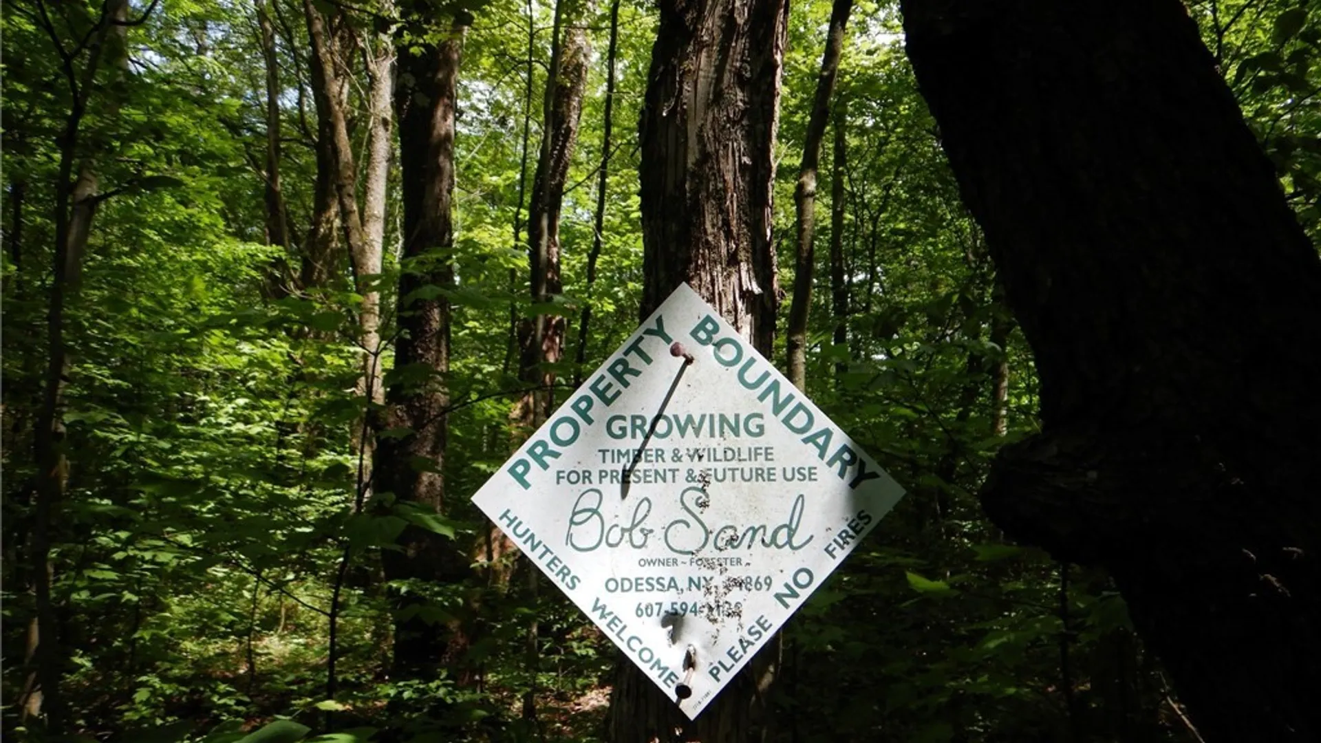 Property at Bull Hill Road, Newfield, NY 14867 12