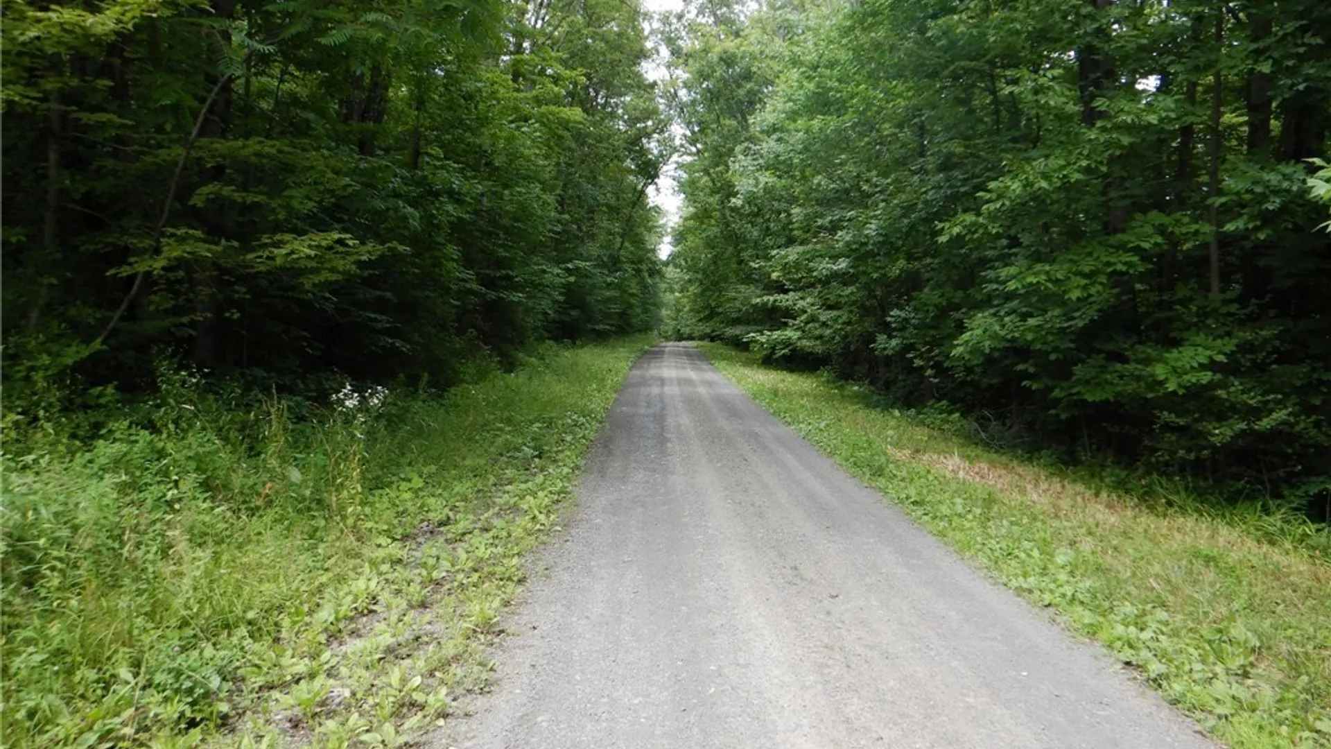 Property at Bull Hill Road, Newfield, NY 14867 21