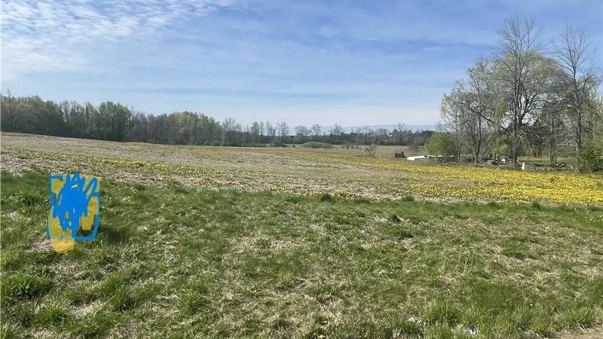 Property at 00 Route 318, Junius, NY 13165 3